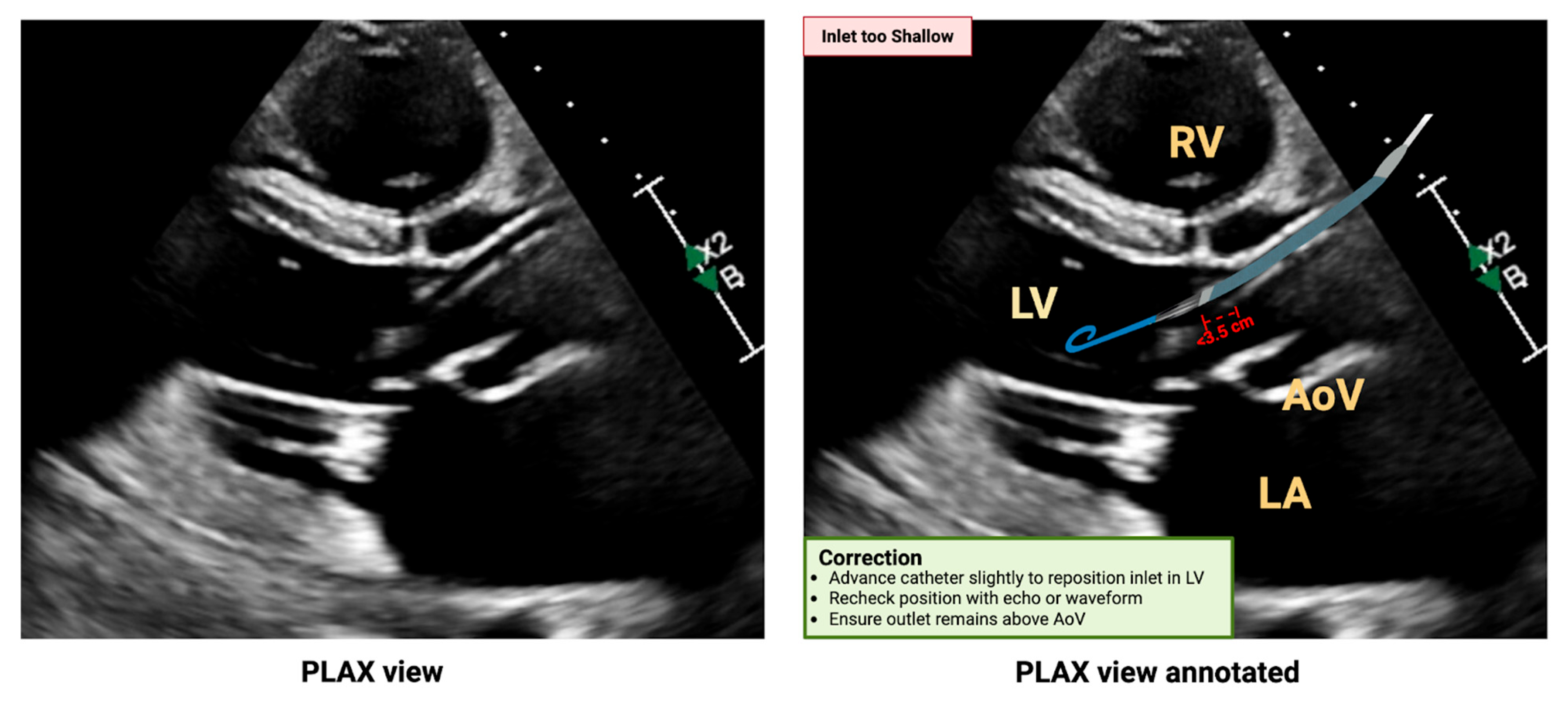 Biomedicines 13 02198 g006