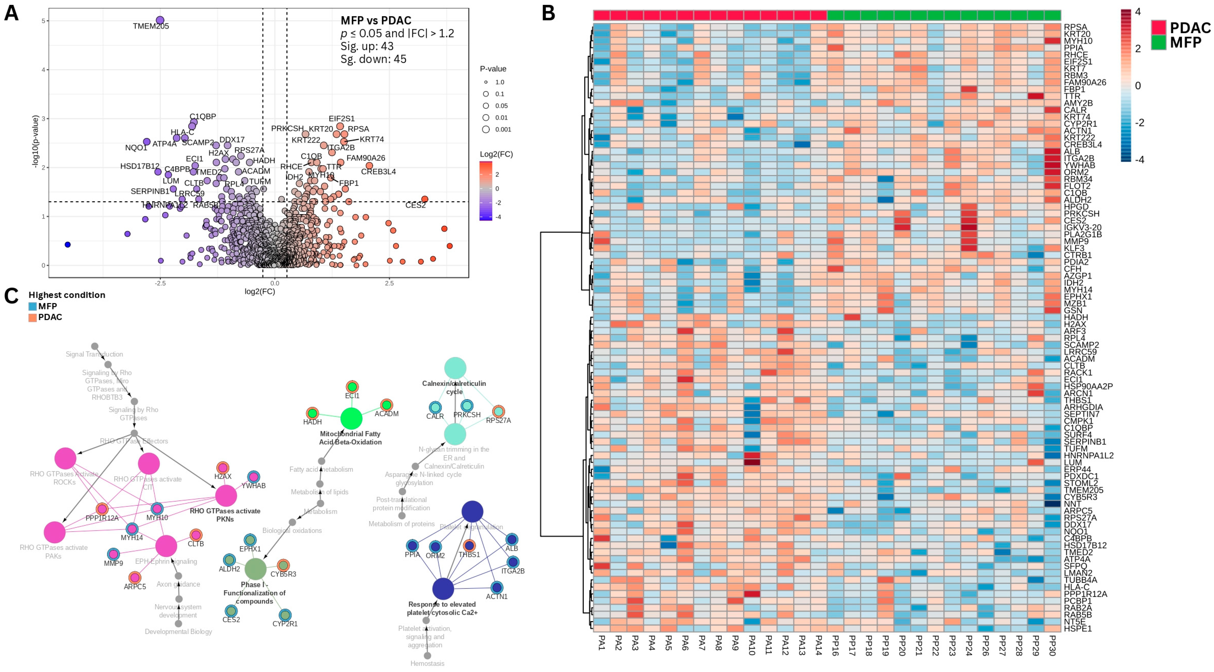 Biomedicines 13 02199 g001