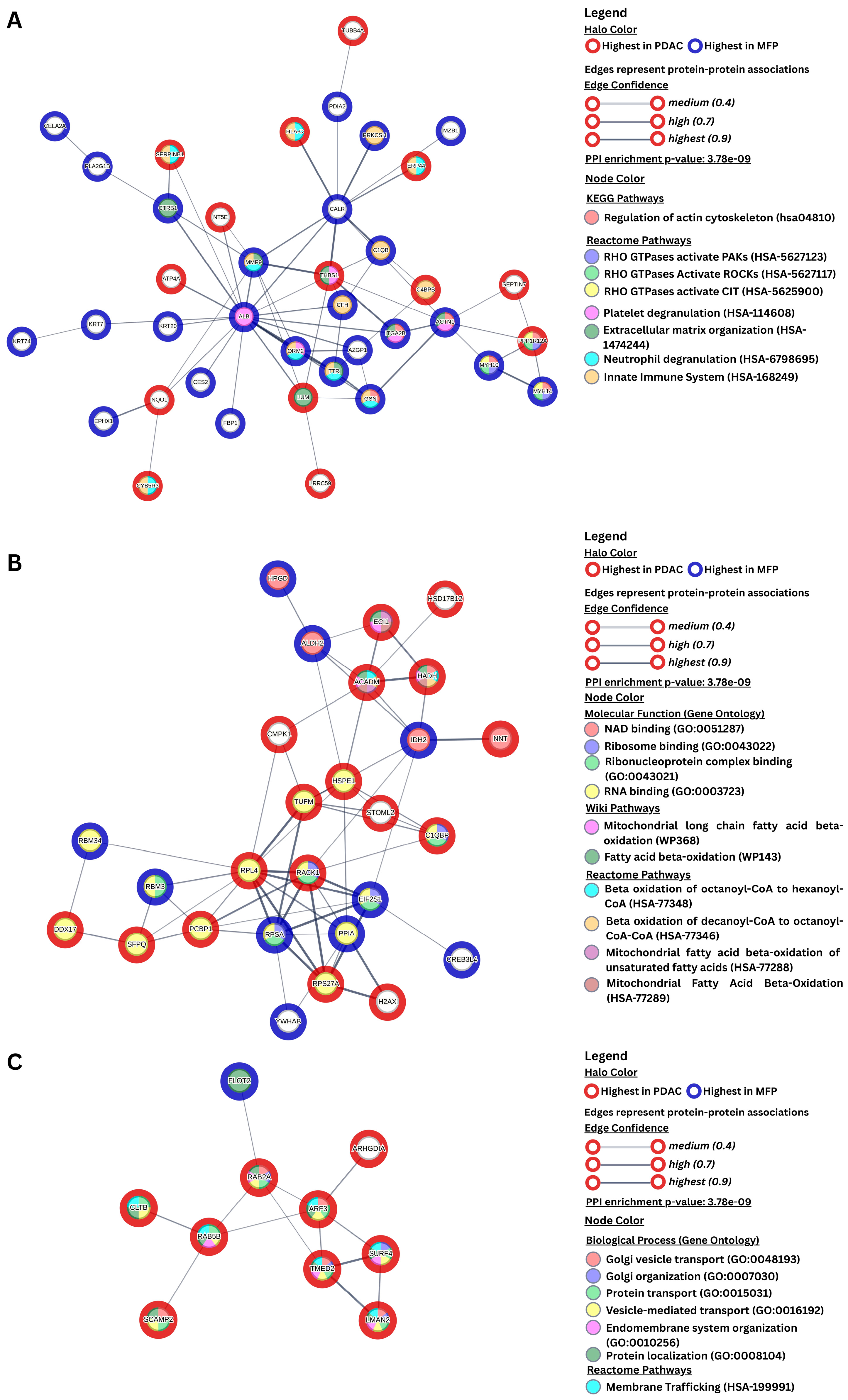 Biomedicines 13 02199 g002
