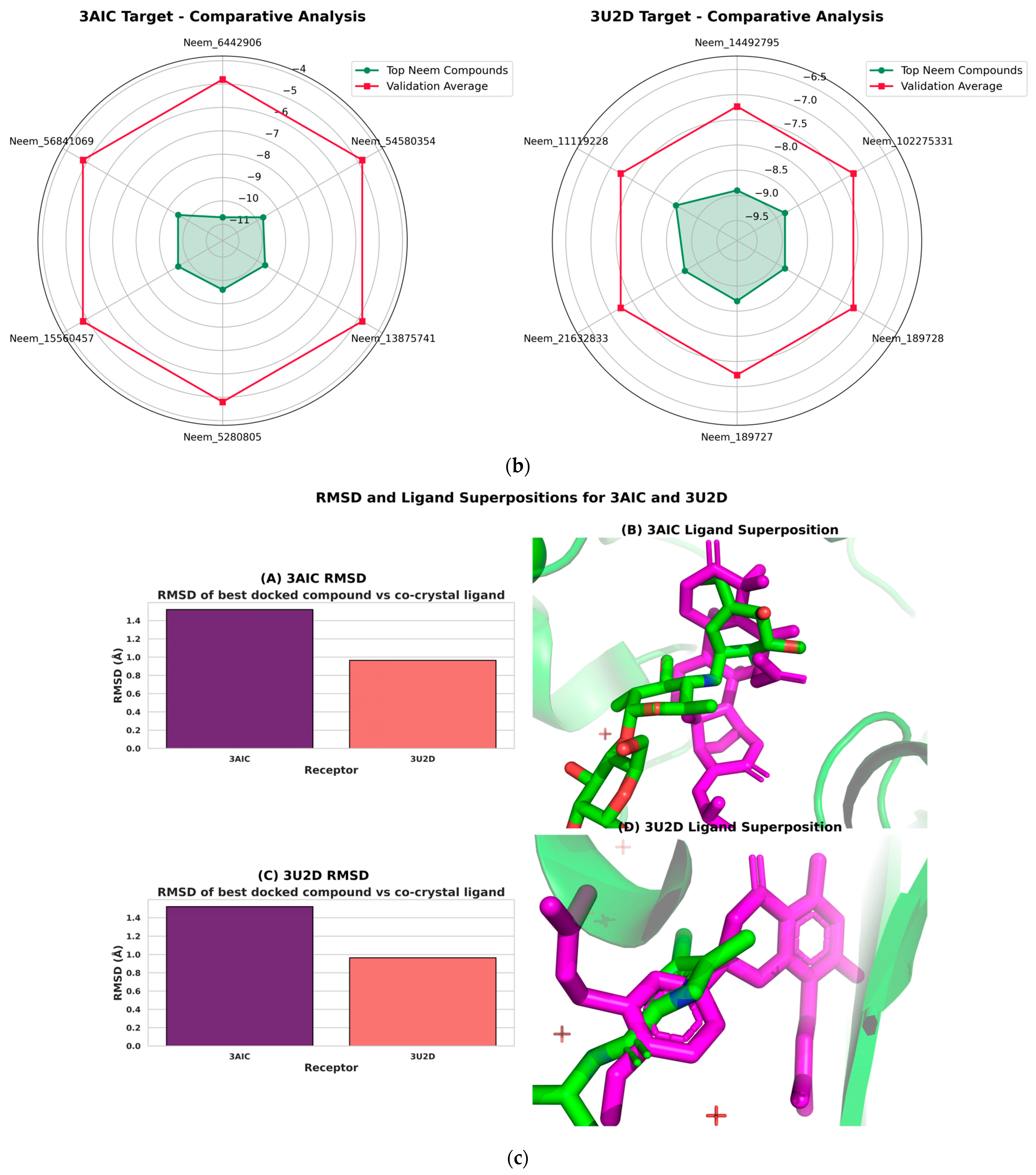 Biomedicines 13 02202 g012b Biomedicines 13 02202 g012b