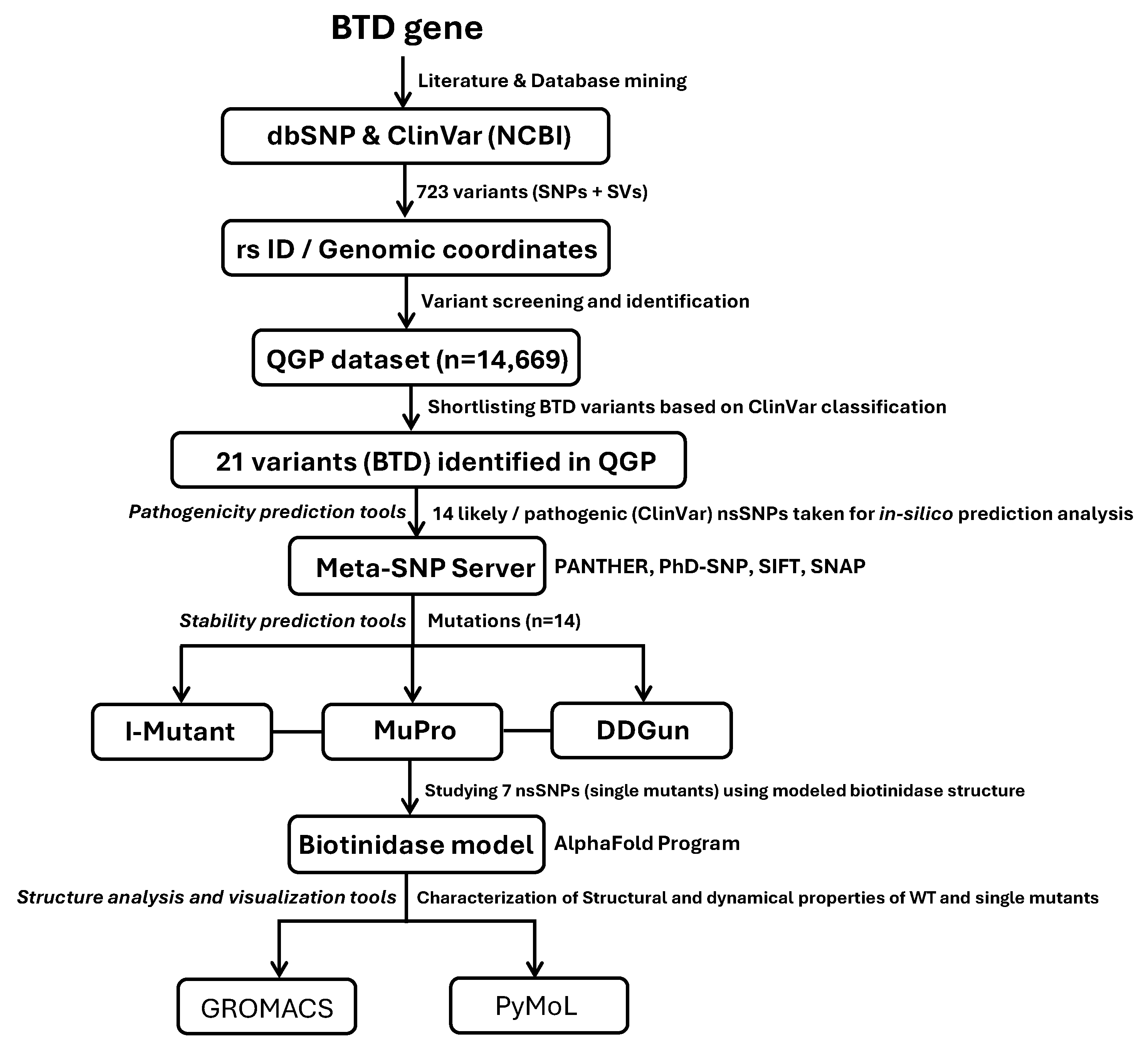 Biomedicines 13 02210 g001