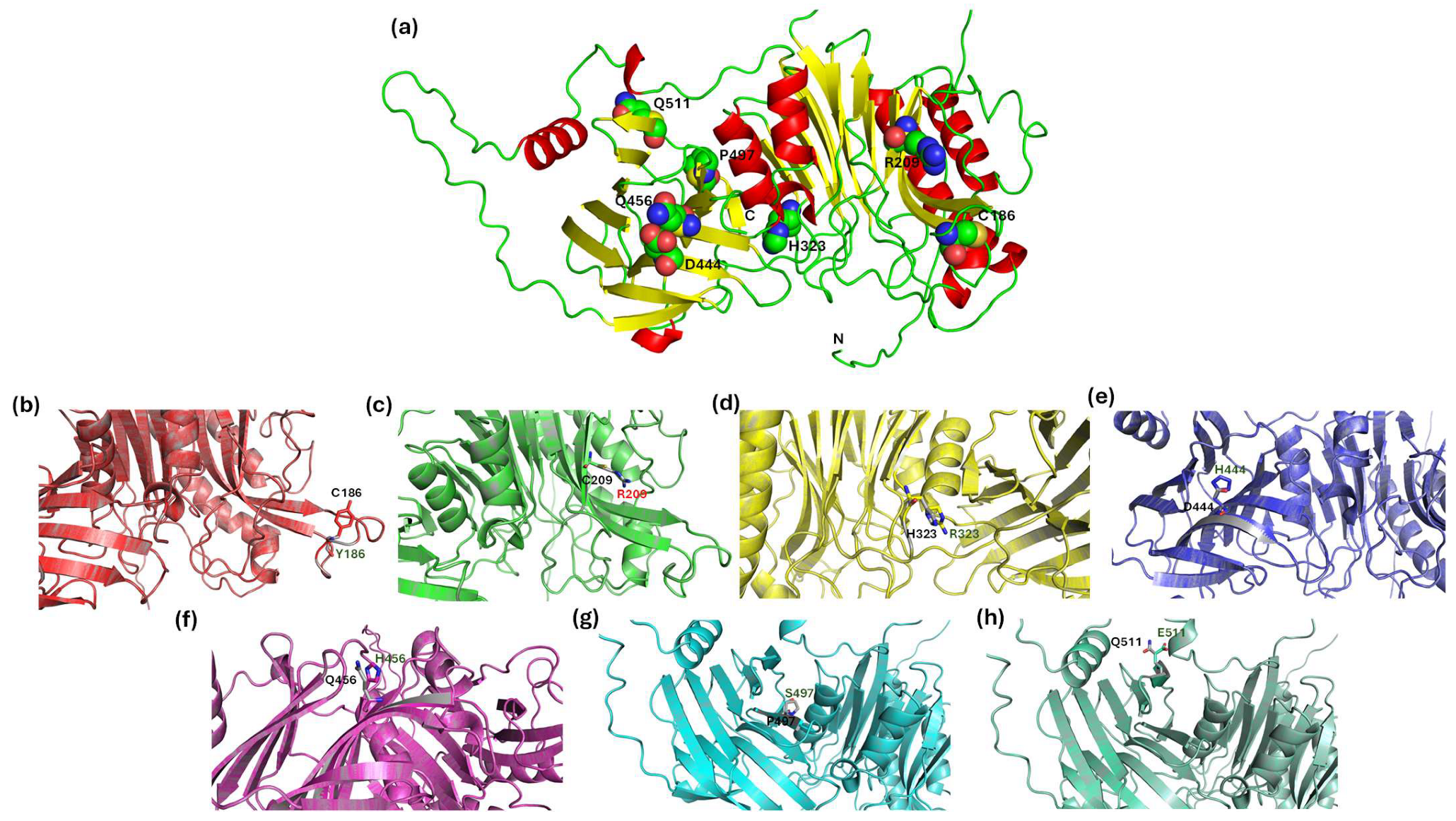 Biomedicines 13 02210 g006