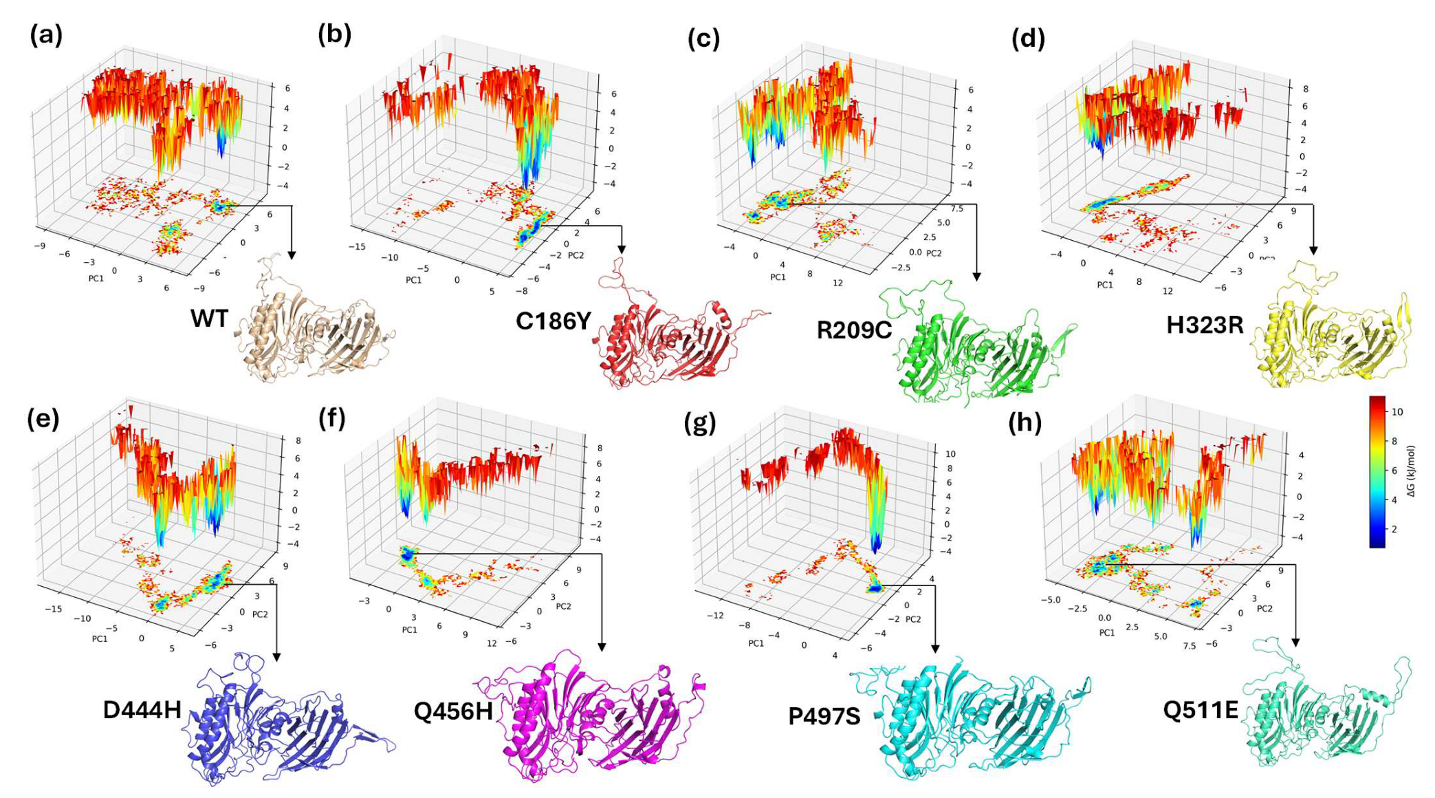 Biomedicines 13 02210 g009