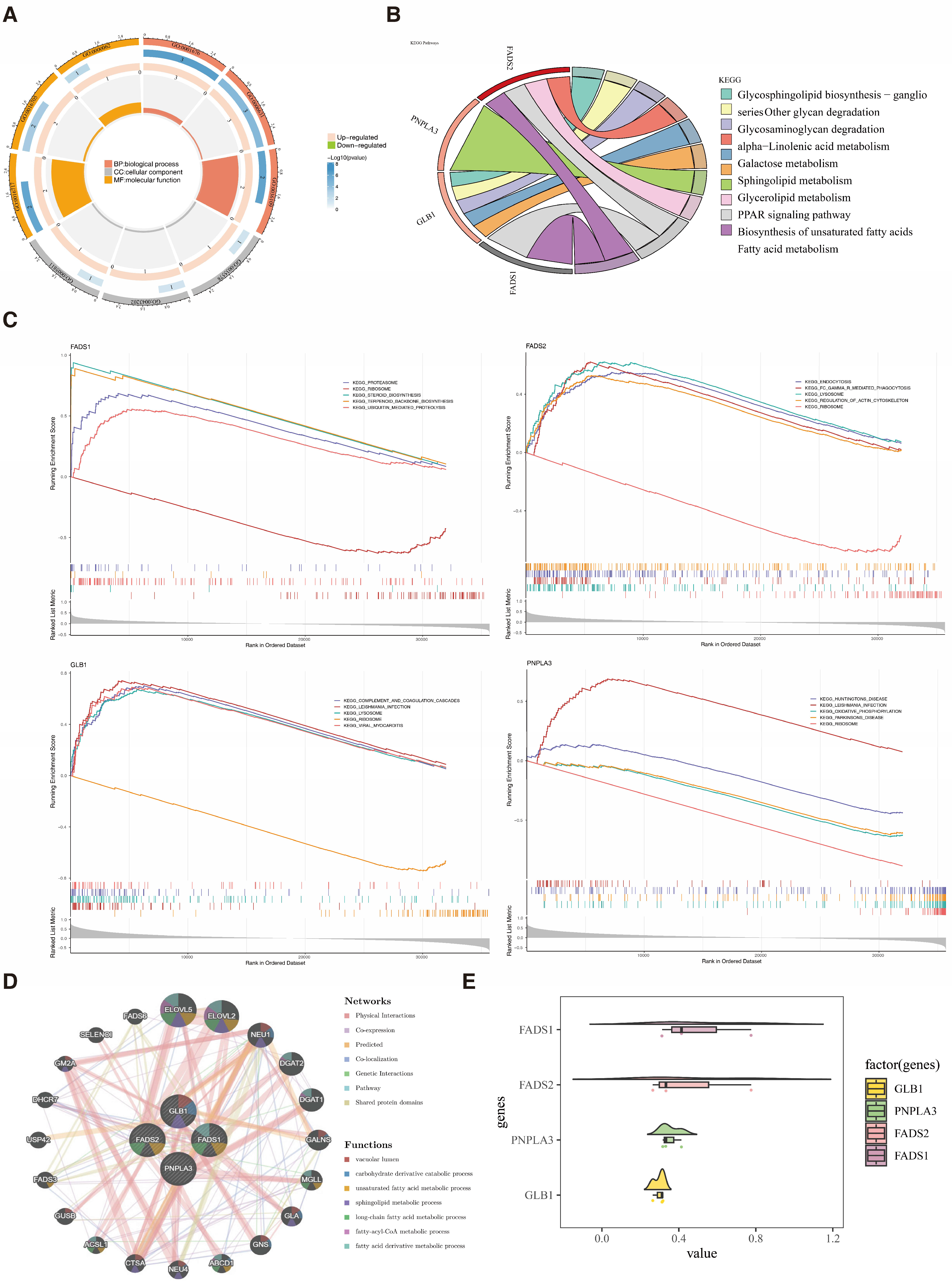 Biomedicines 13 02211 g003 Biomedicines 13 02211 g003