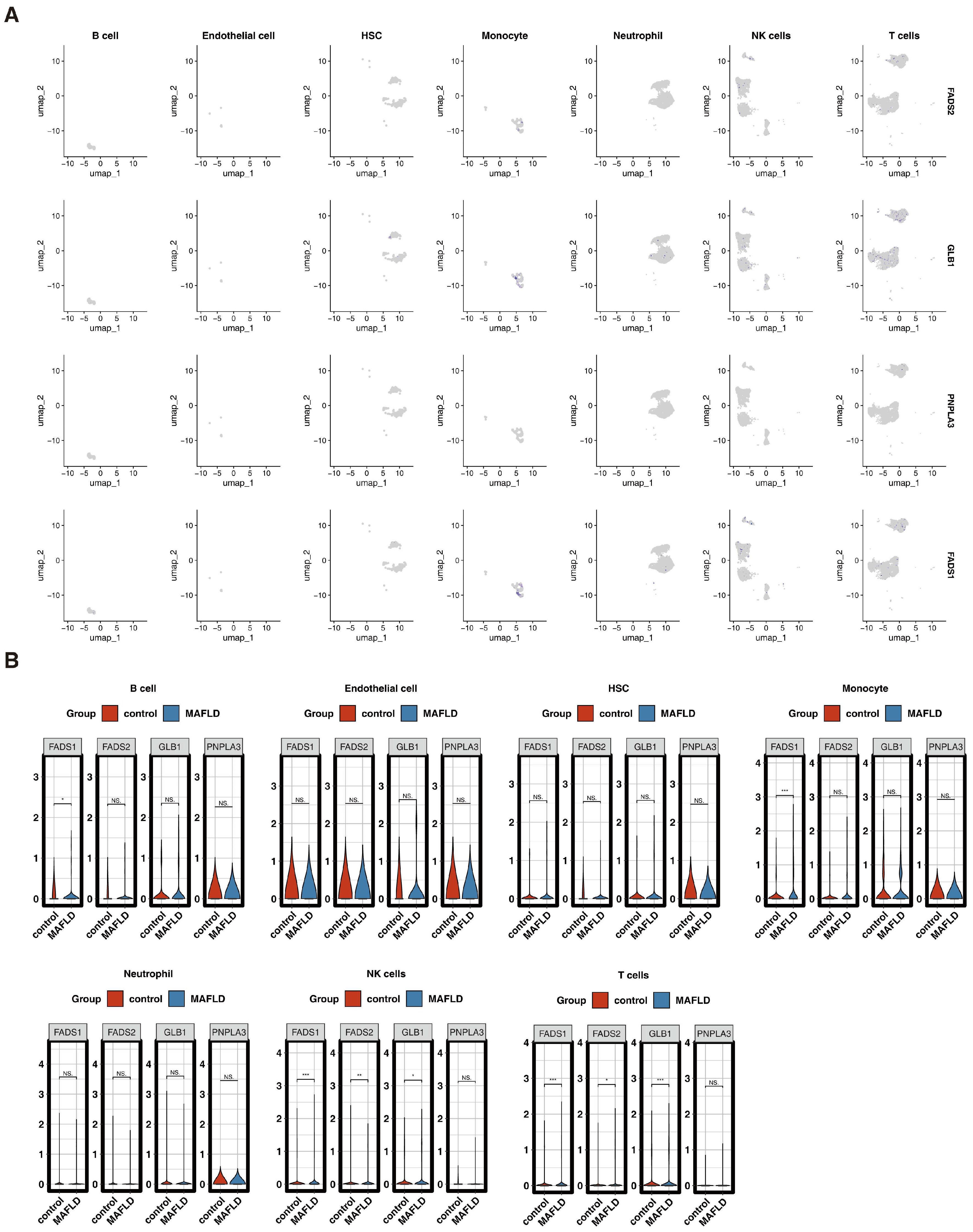 Biomedicines 13 02211 g006 Biomedicines 13 02211 g006