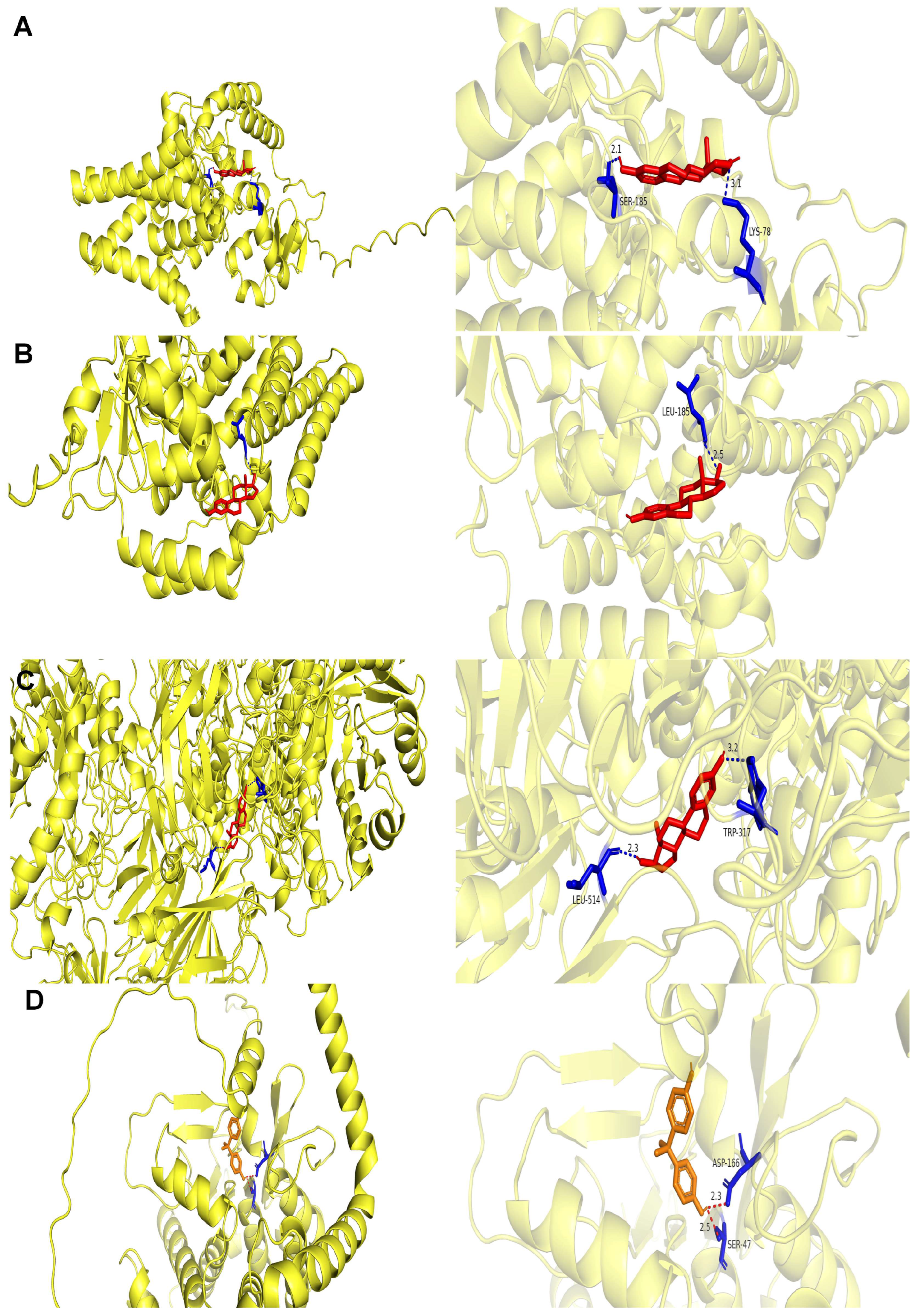 Biomedicines 13 02211 g008 Biomedicines 13 02211 g008