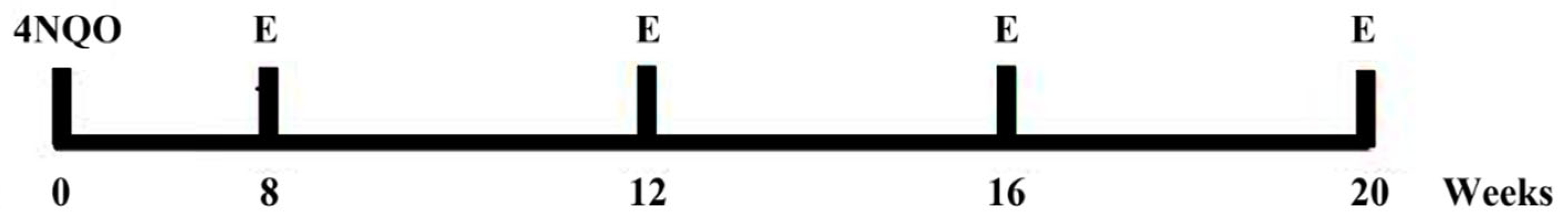 Biomedicines 13 02223 g001