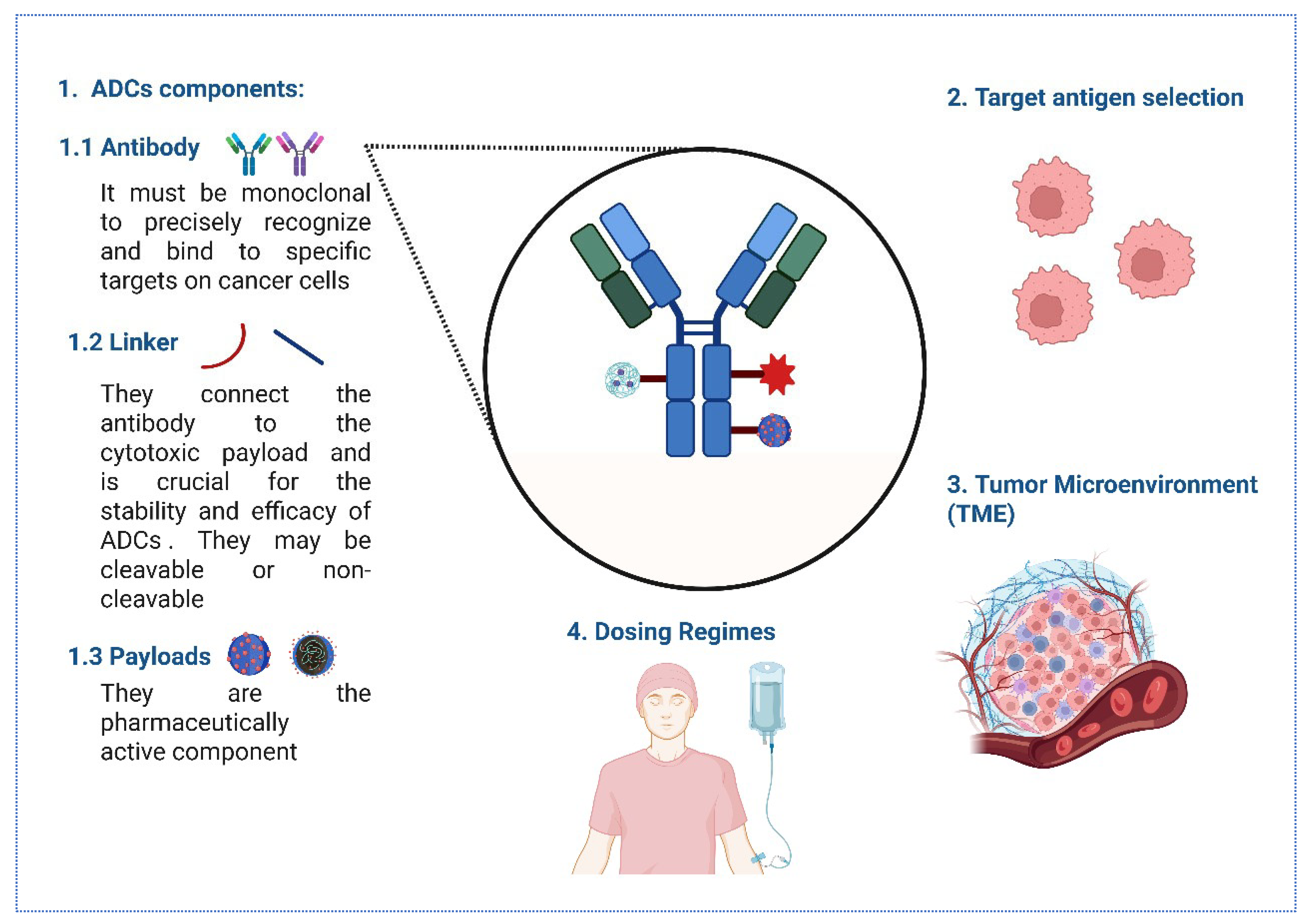 Biomedicines 13 02227 g002 Biomedicines 13 02227 g002
