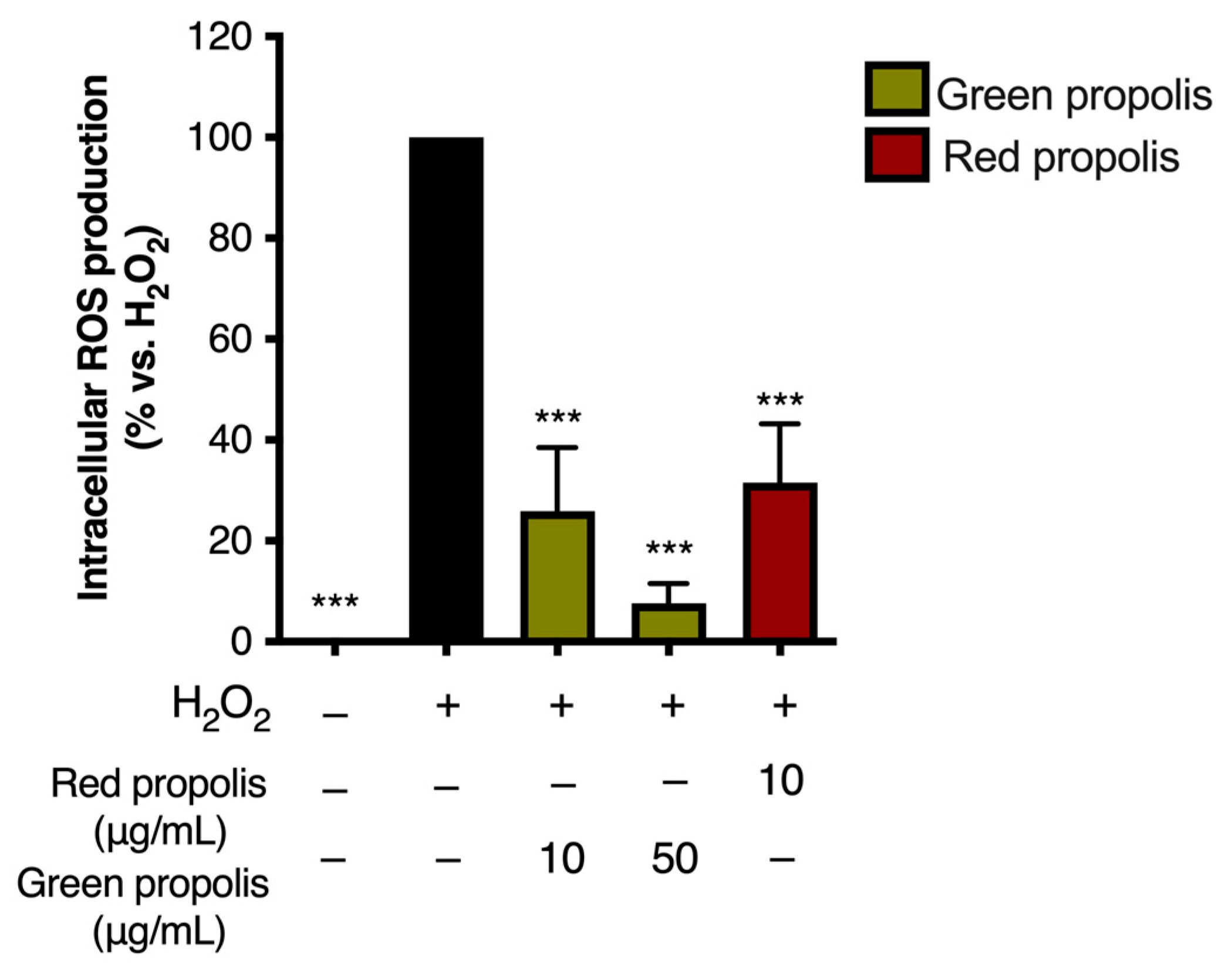 Biomedicines 13 02229 g010 Biomedicines 13 02229 g010