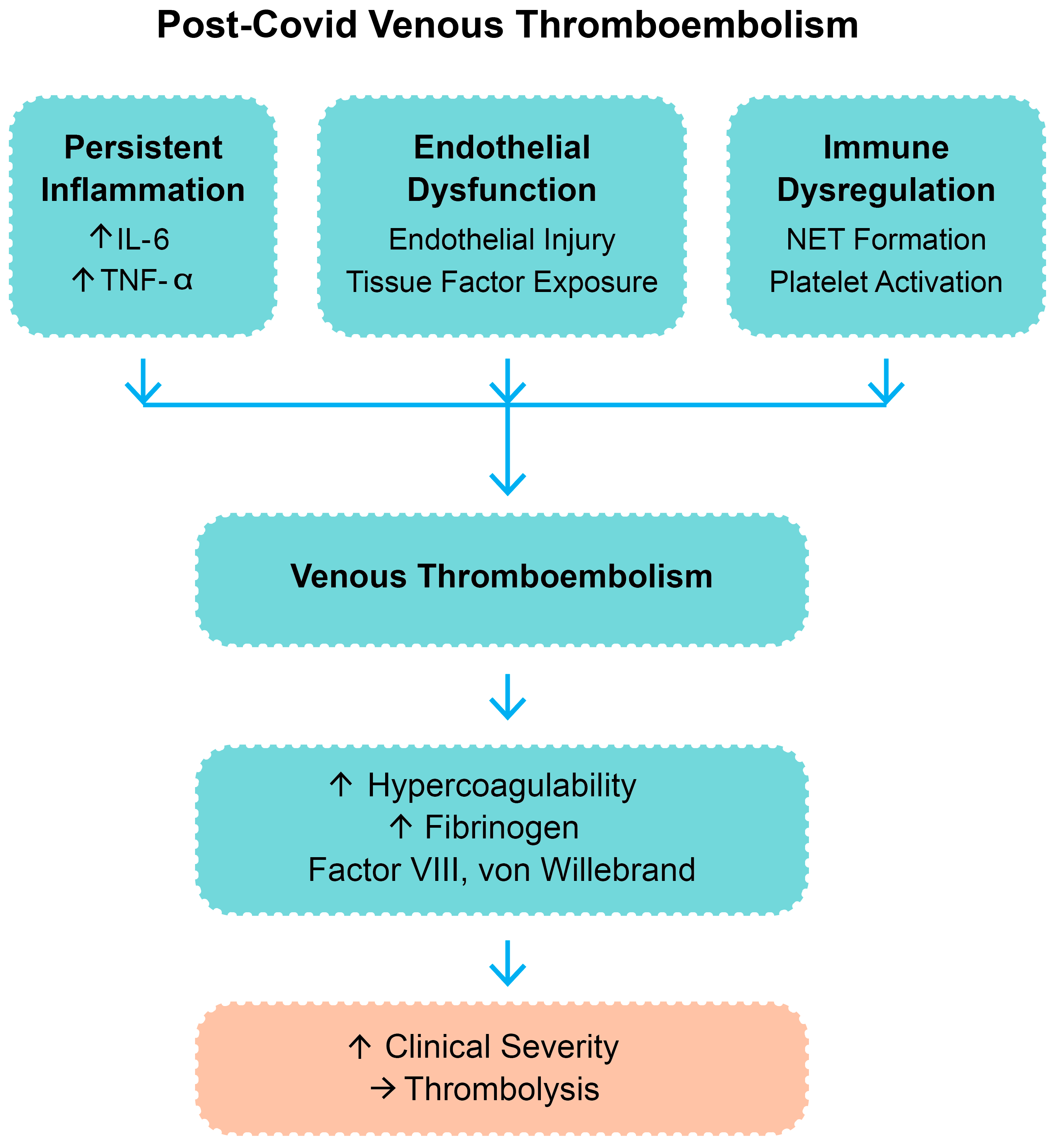 Biomedicines 13 02232 g001
