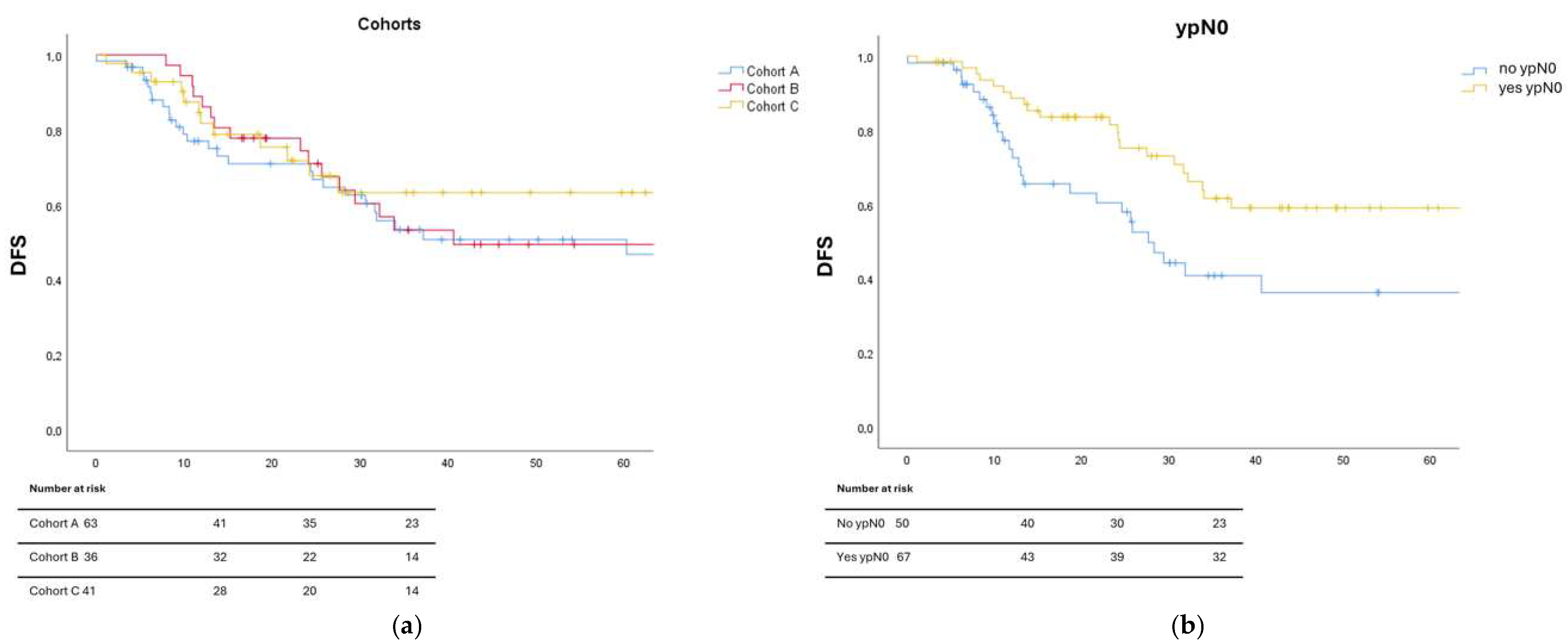 Biomedicines 13 02236 g001