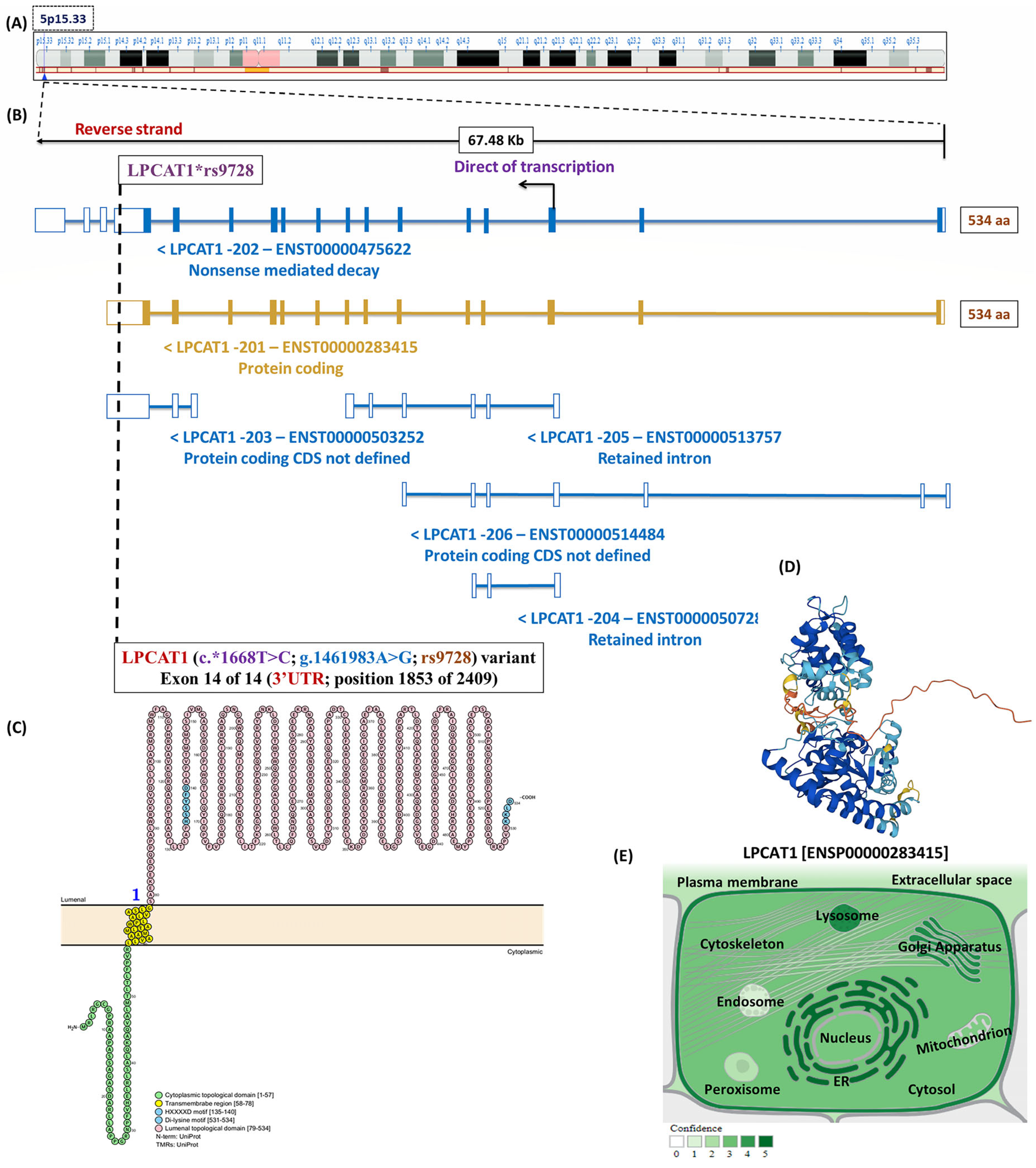 Biomedicines 13 02237 g004a