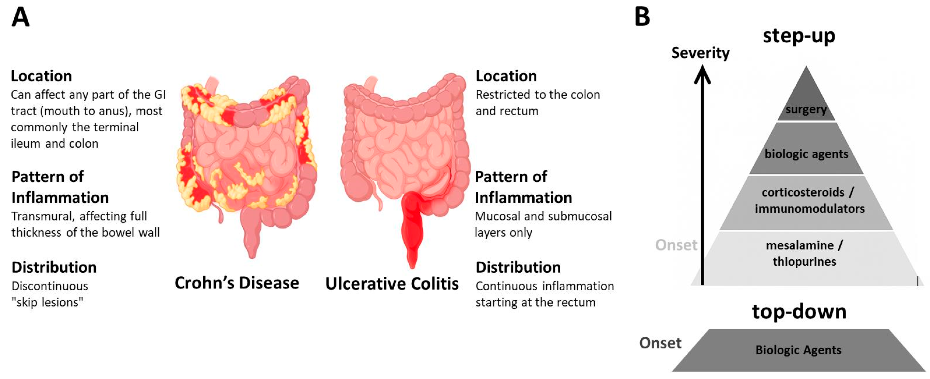 Biomedicines 13 02240 g001