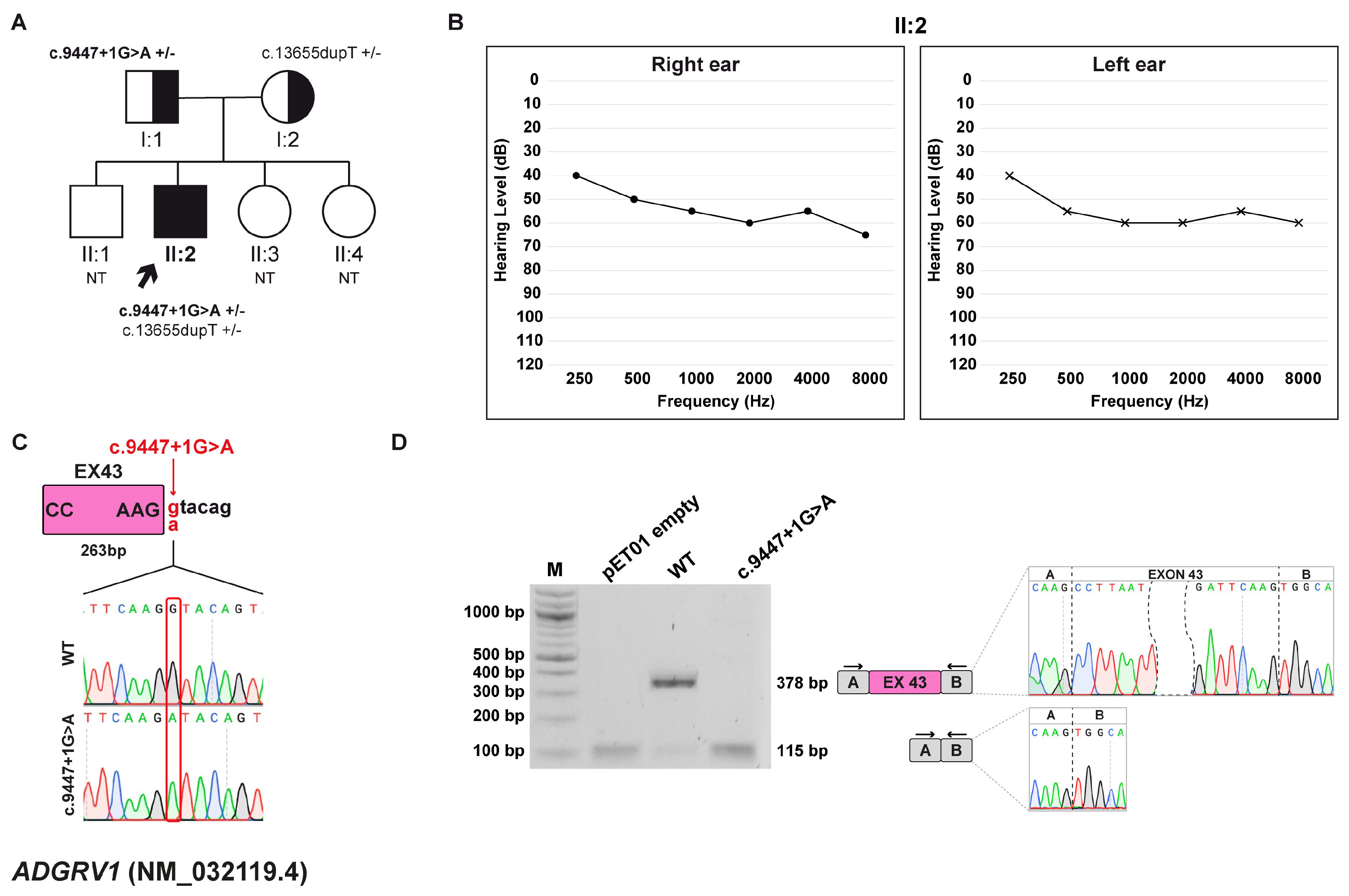 Biomedicines 13 02245 g001