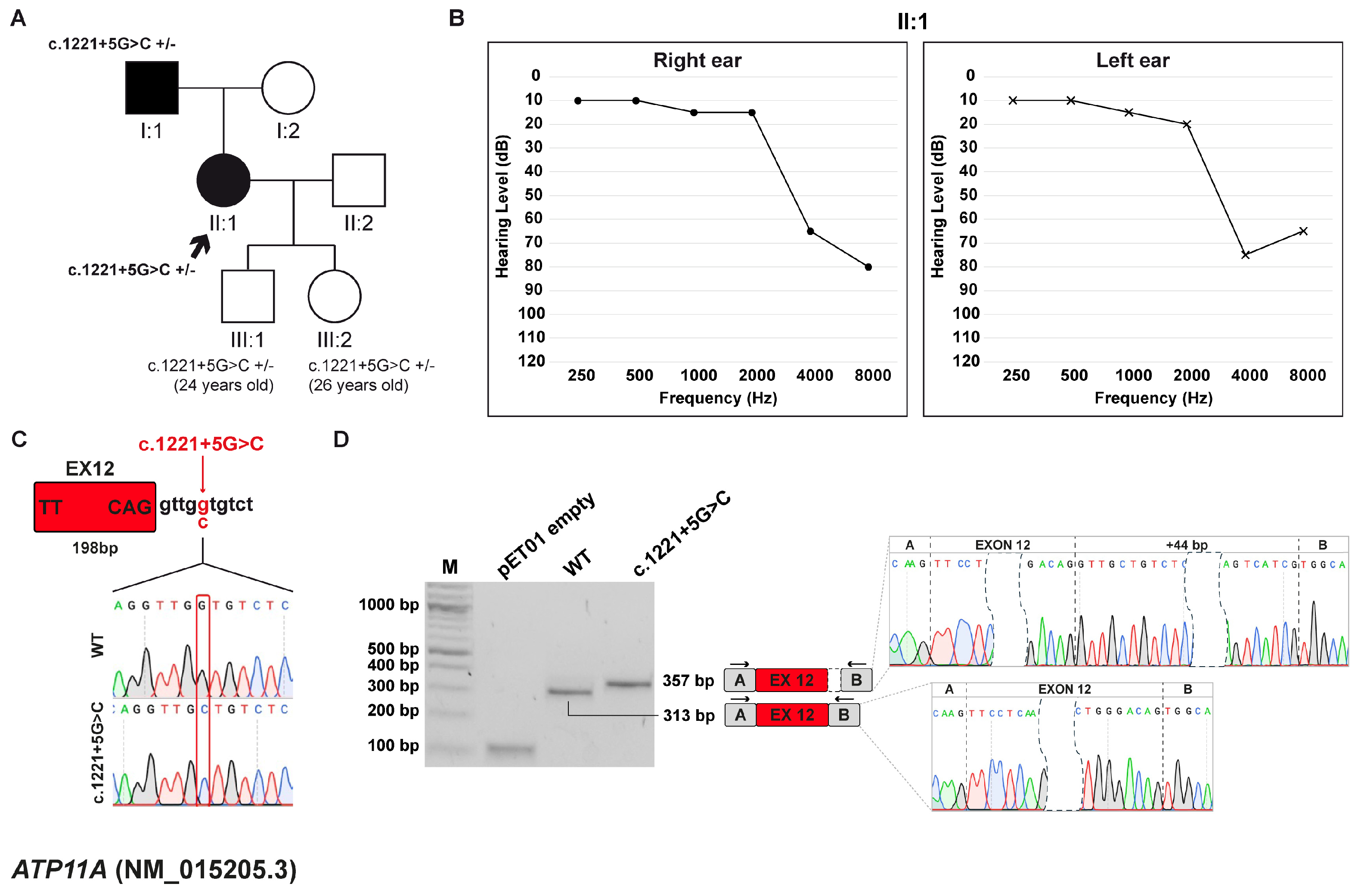 Biomedicines 13 02245 g002