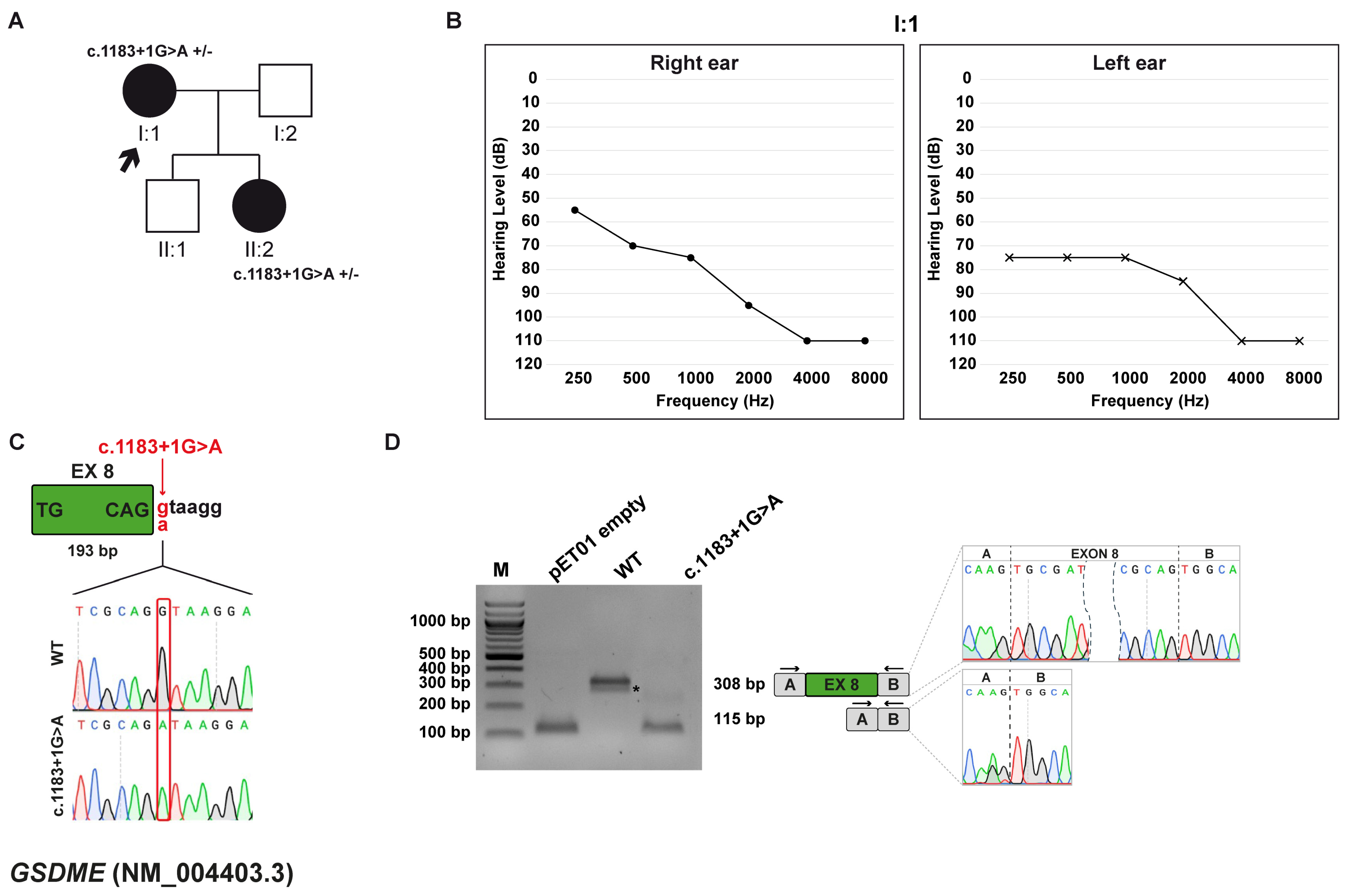 Biomedicines 13 02245 g003