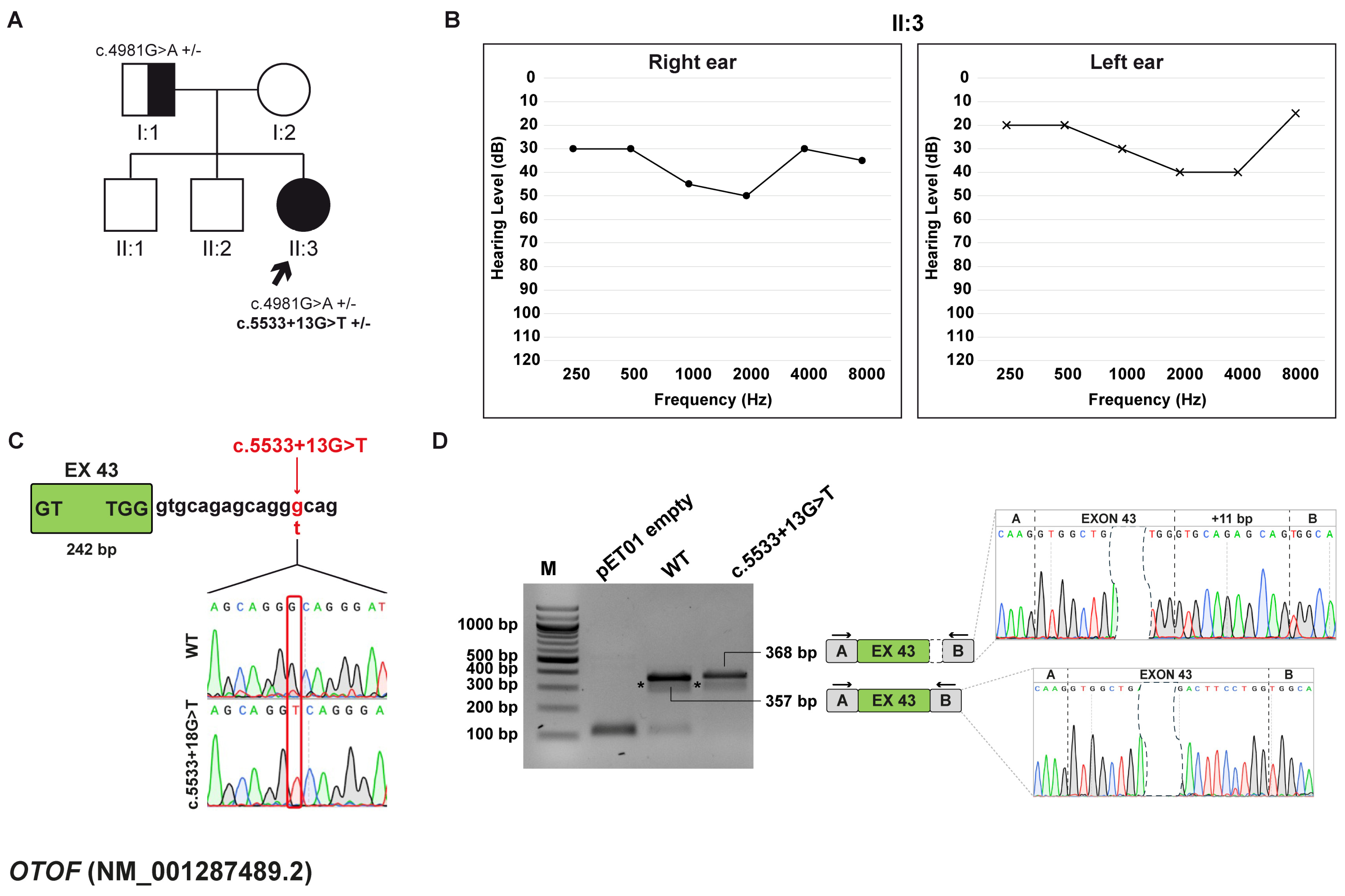 Biomedicines 13 02245 g004