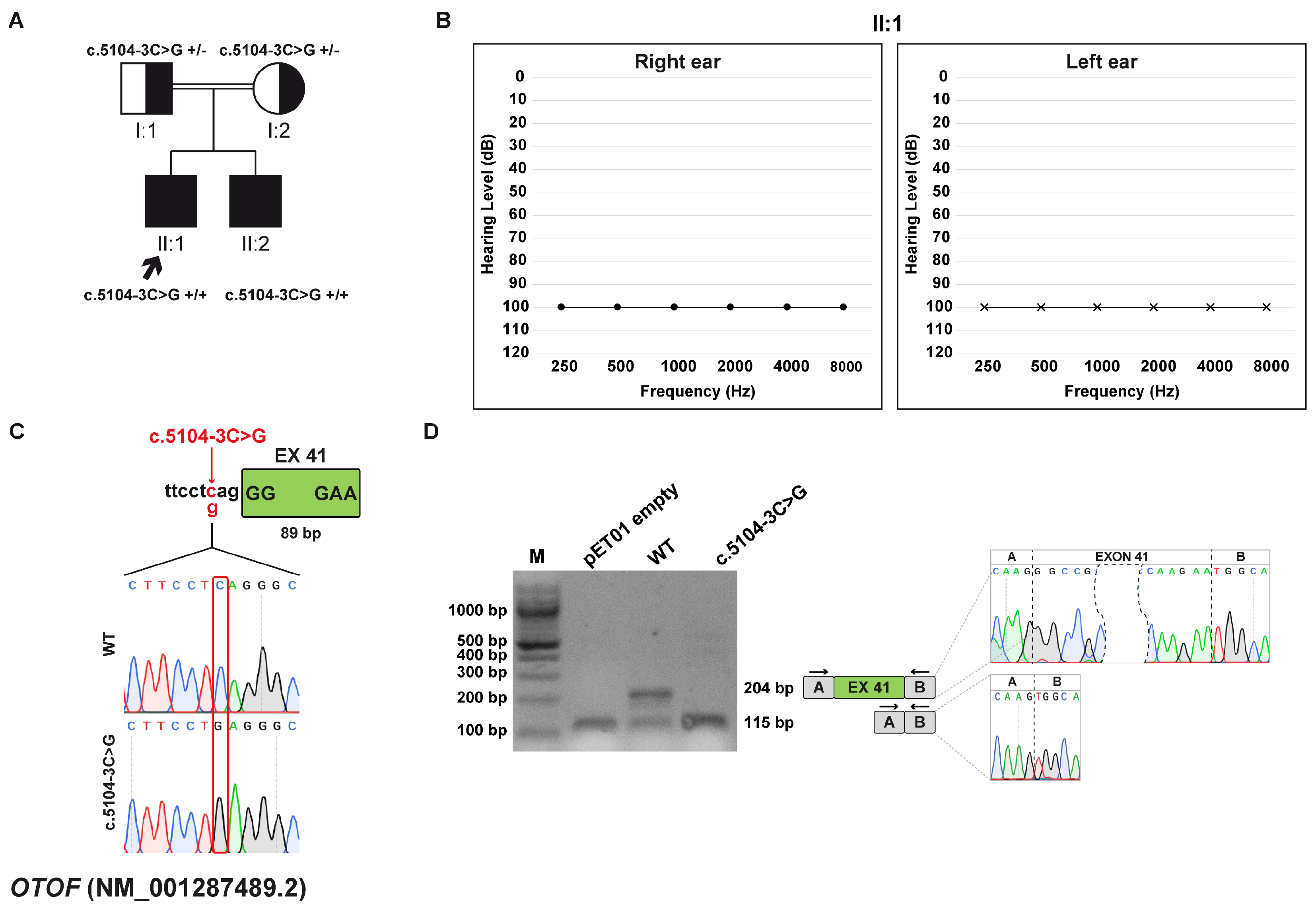 Biomedicines 13 02245 g005