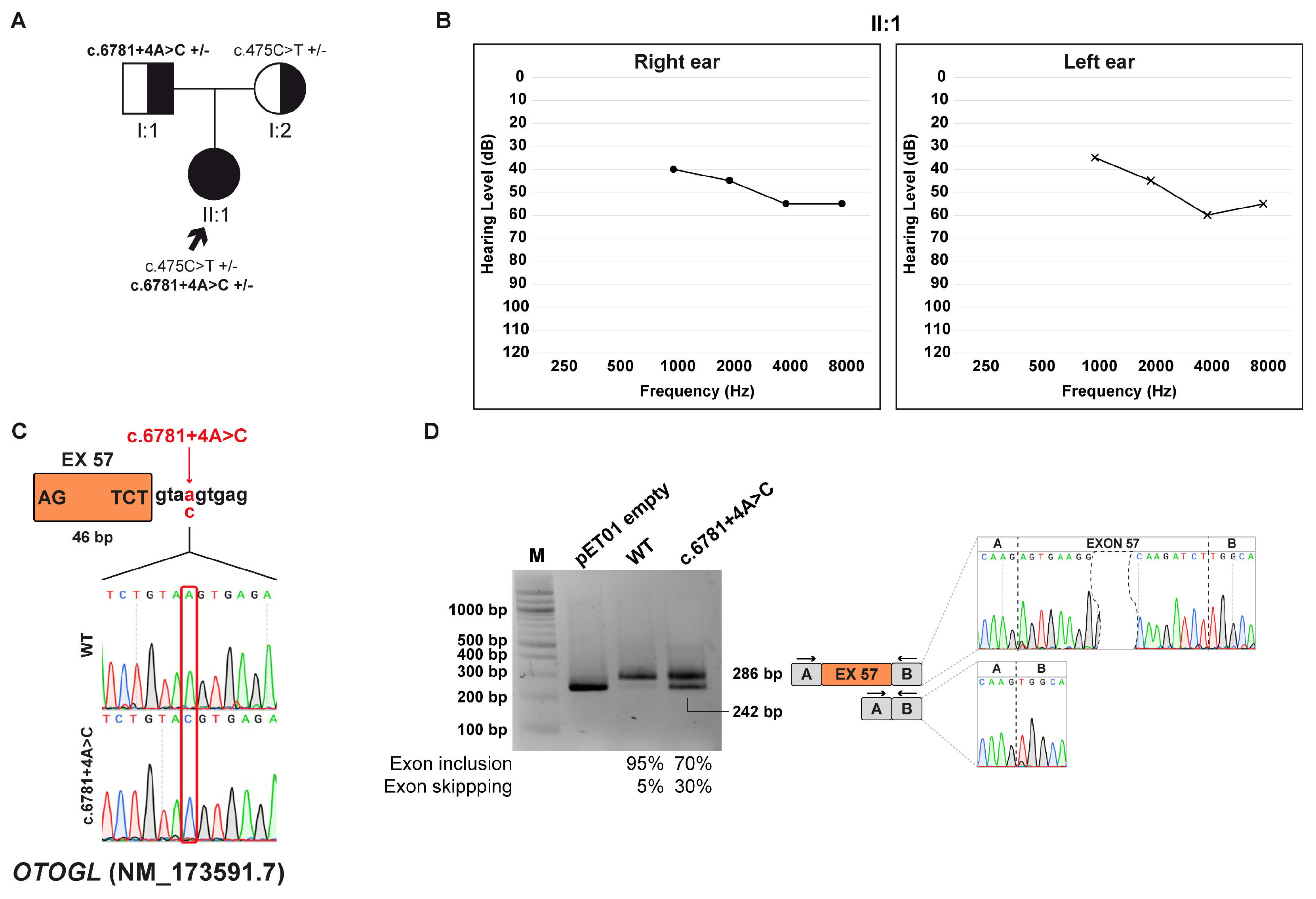 Biomedicines 13 02245 g006