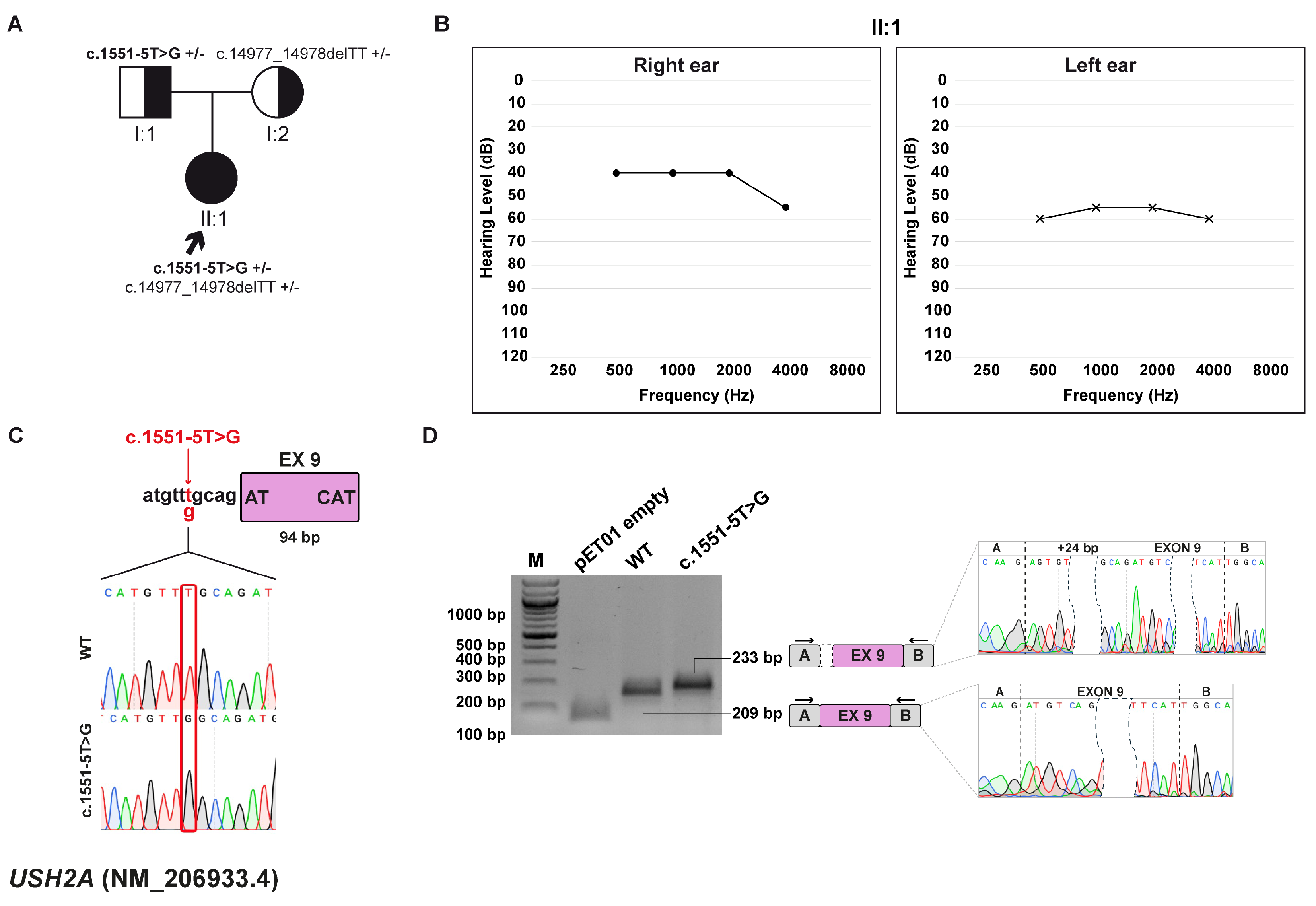Biomedicines 13 02245 g007