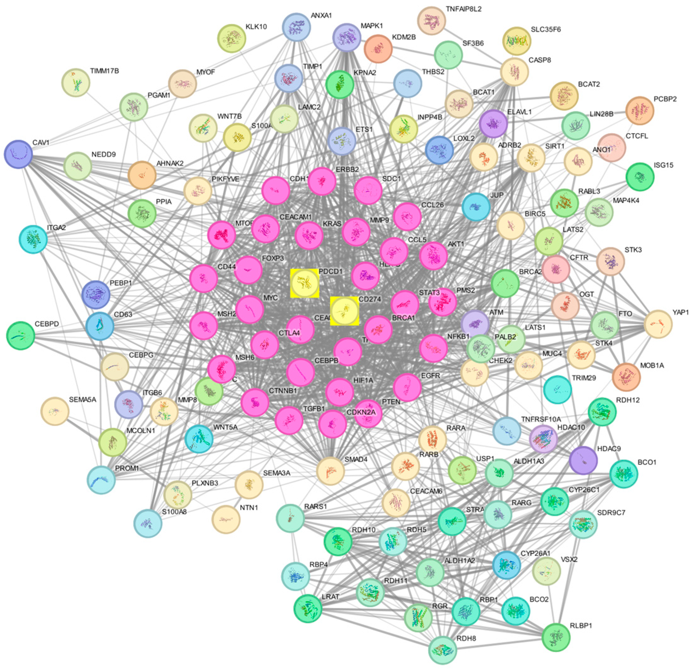 Biomedicines 13 02246 g006