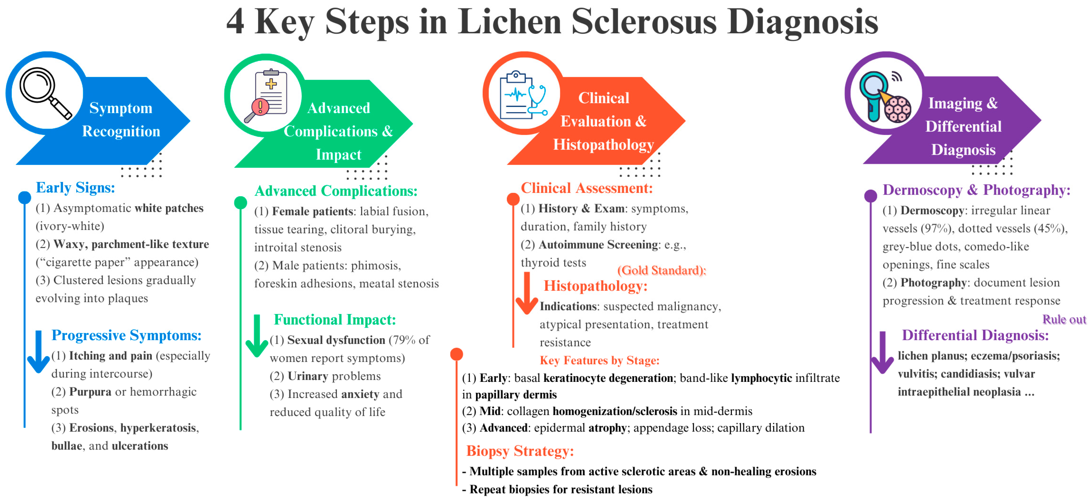Biomedicines 13 02252 g006