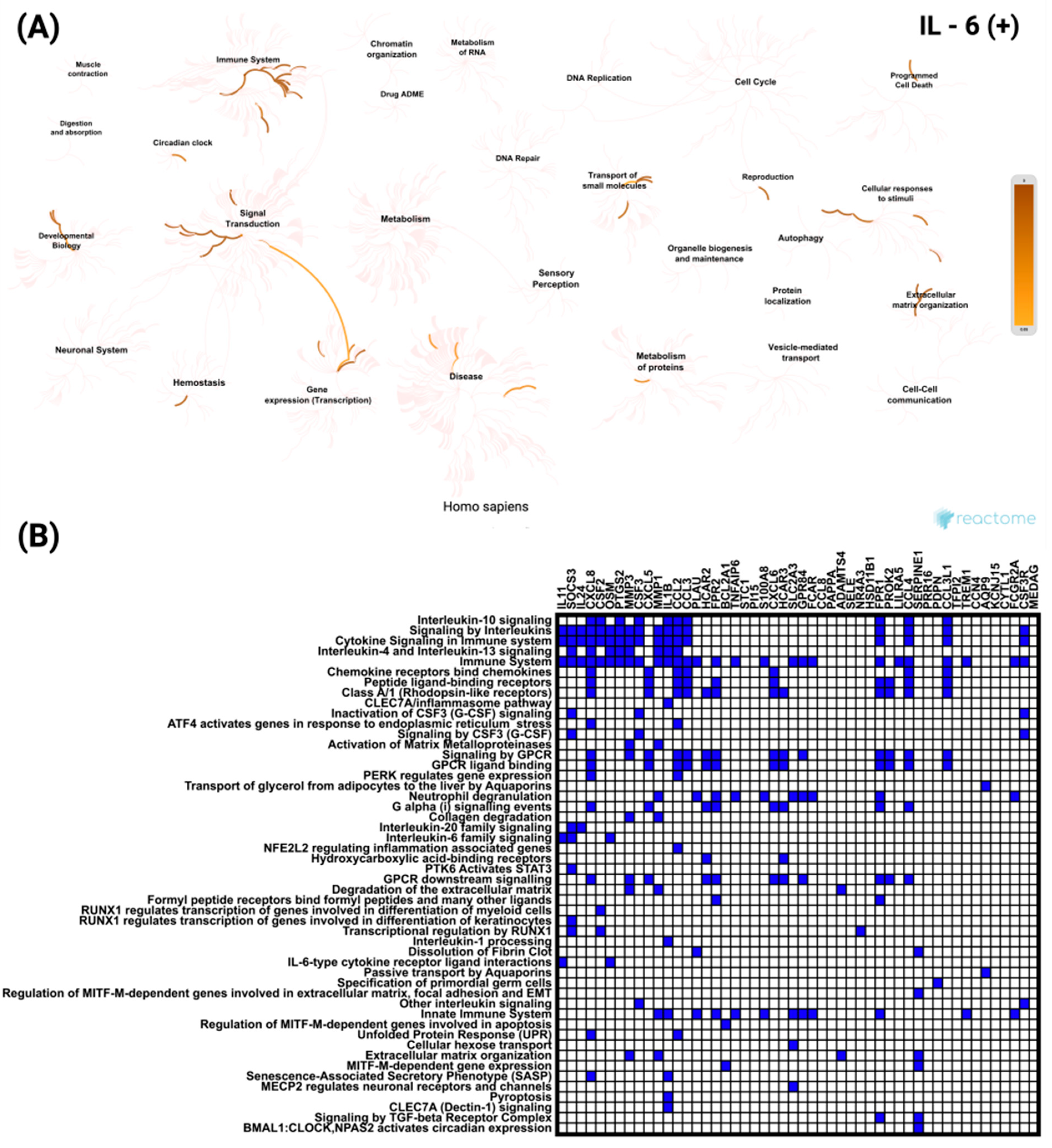 Biomedicines 13 02257 g006