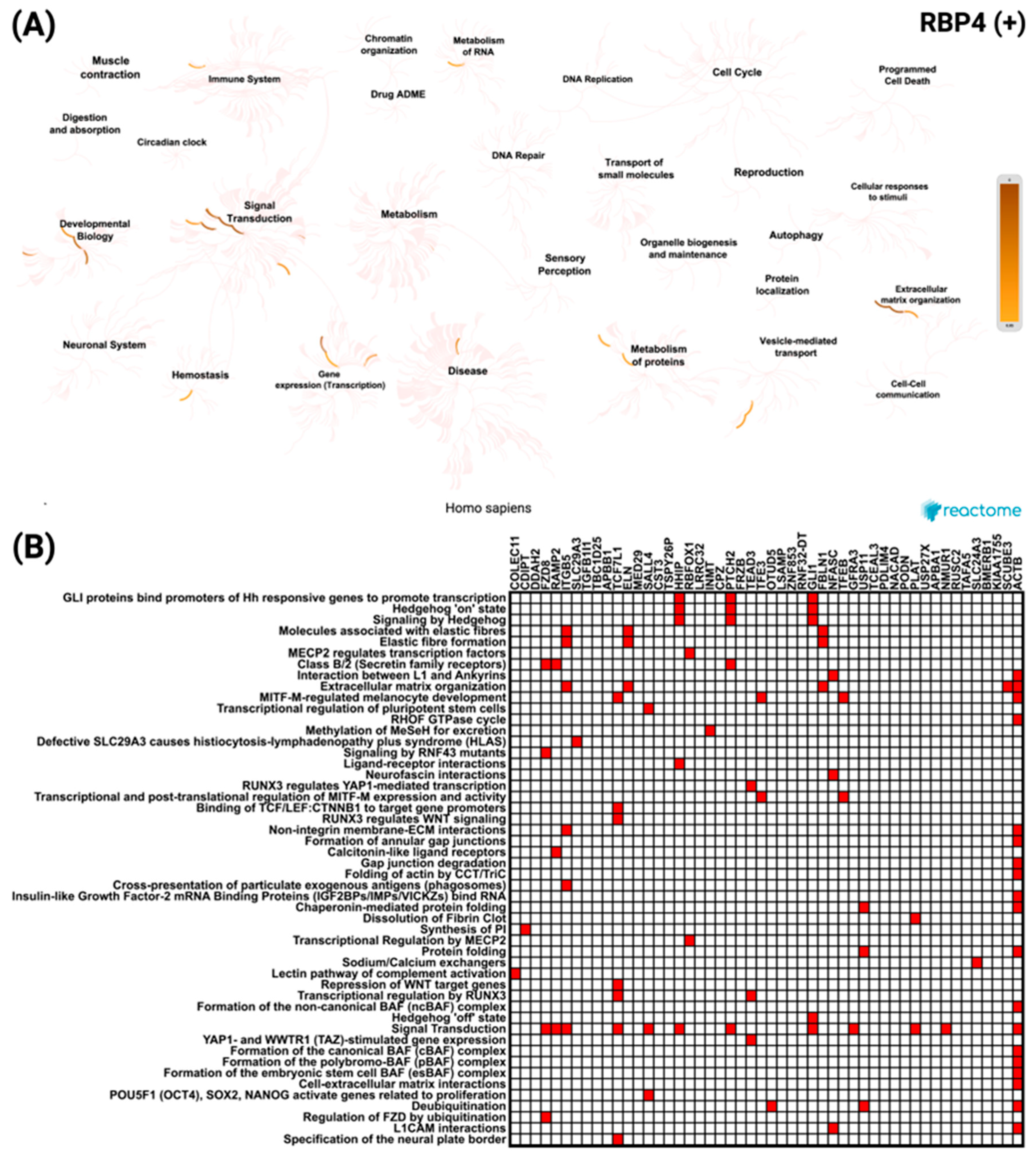 Biomedicines 13 02257 g008