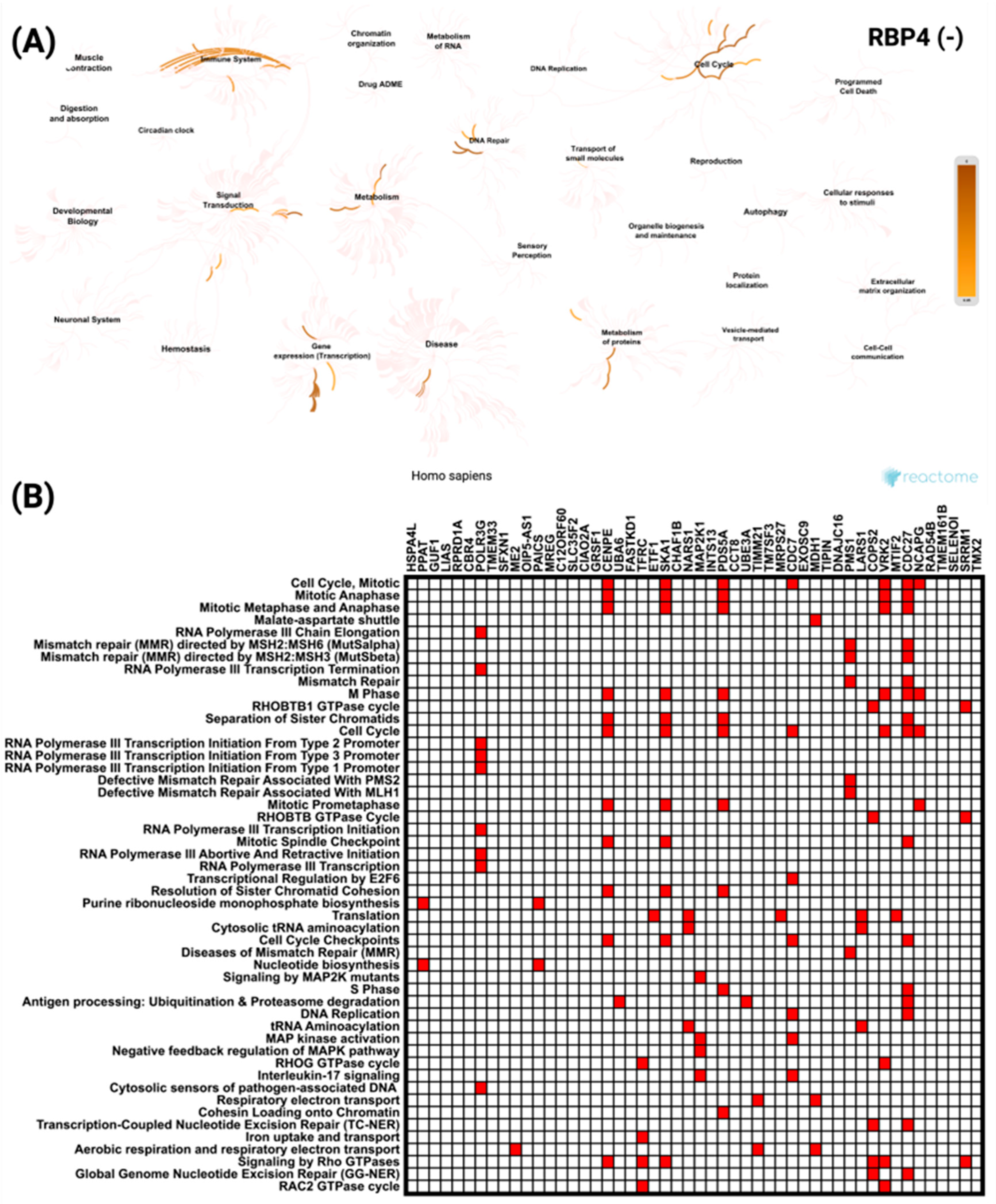 Biomedicines 13 02257 g009