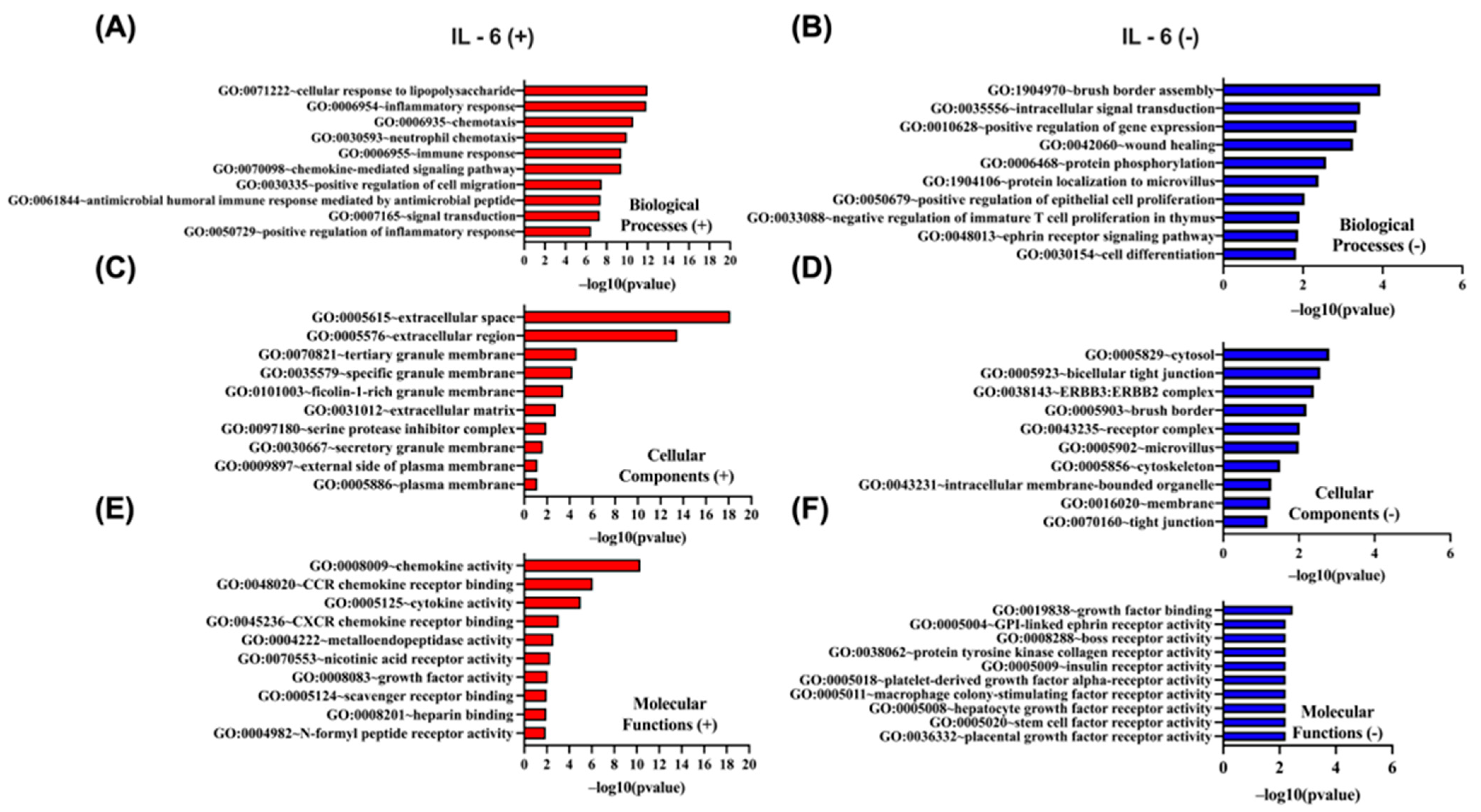 Biomedicines 13 02257 g010
