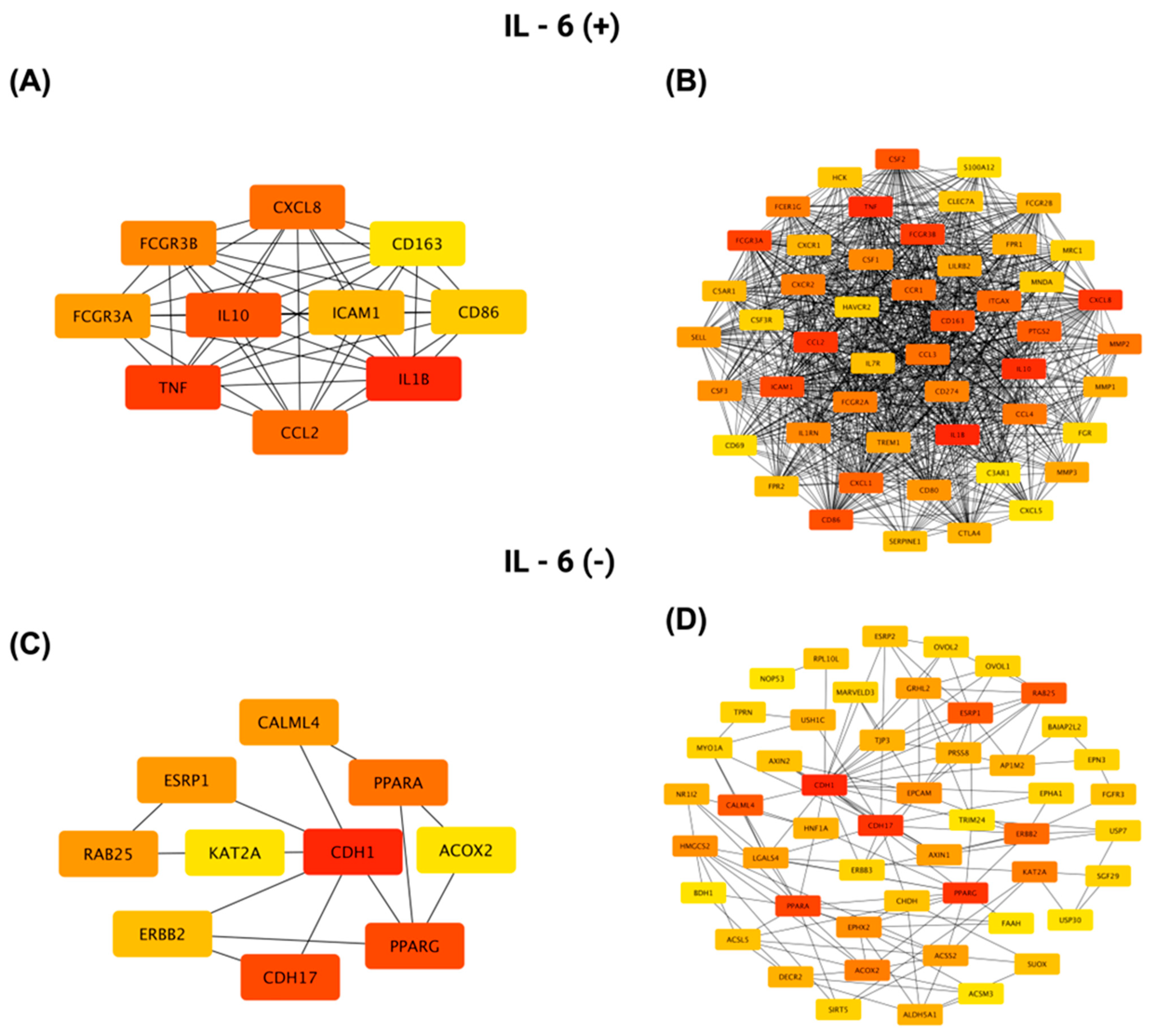 Biomedicines 13 02257 g012