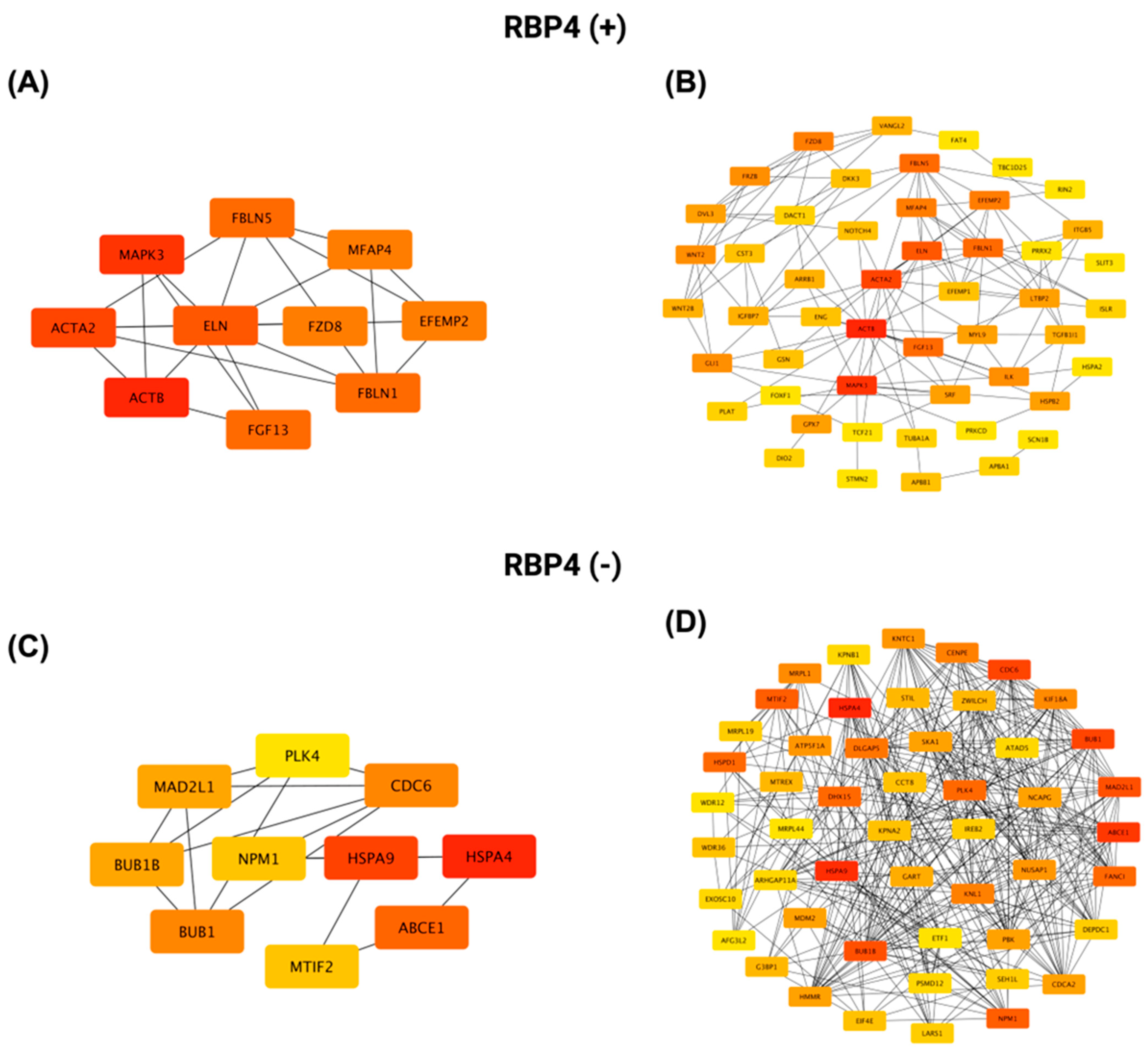 Biomedicines 13 02257 g013