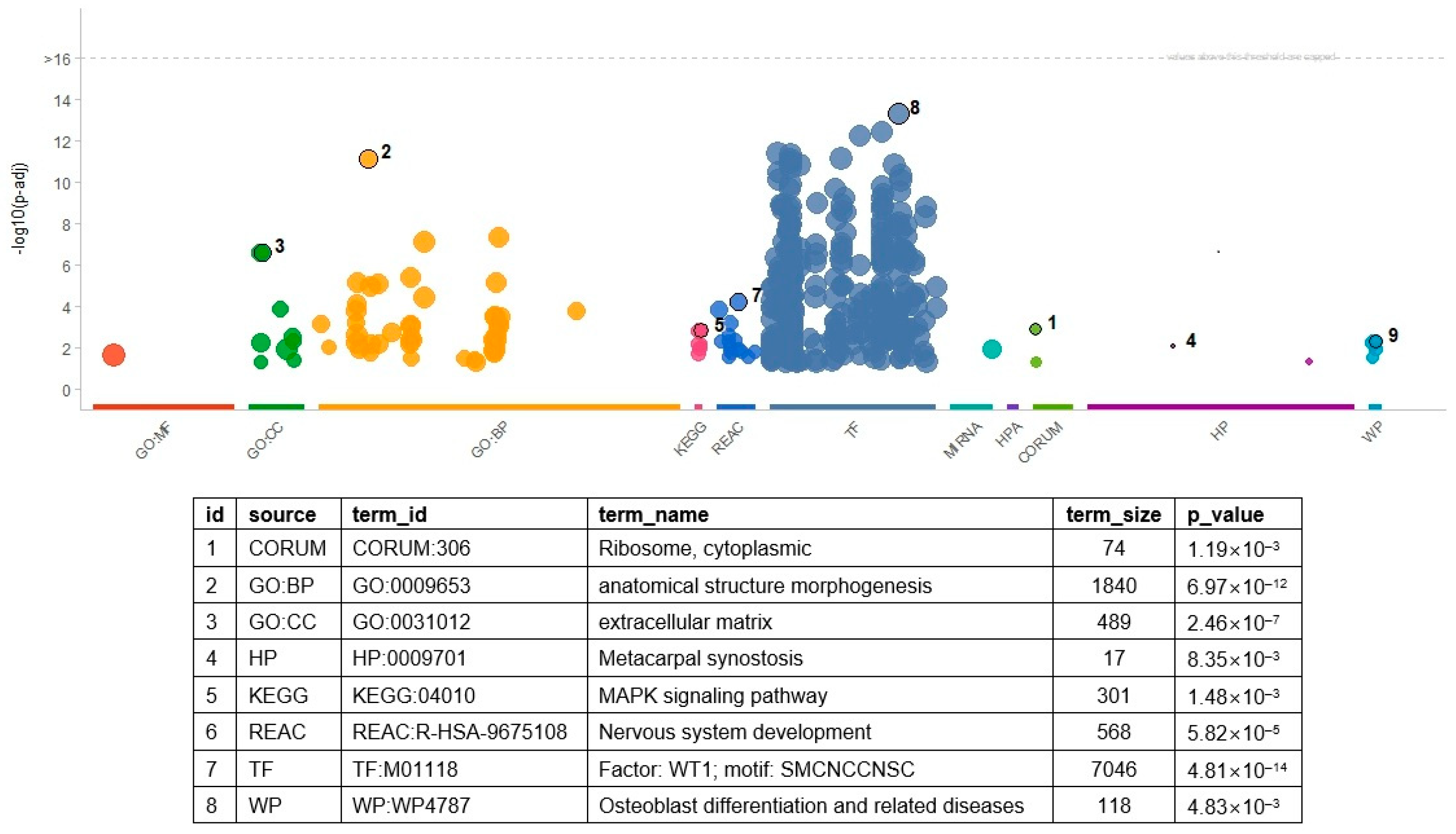 Biomedicines 13 02263 g002