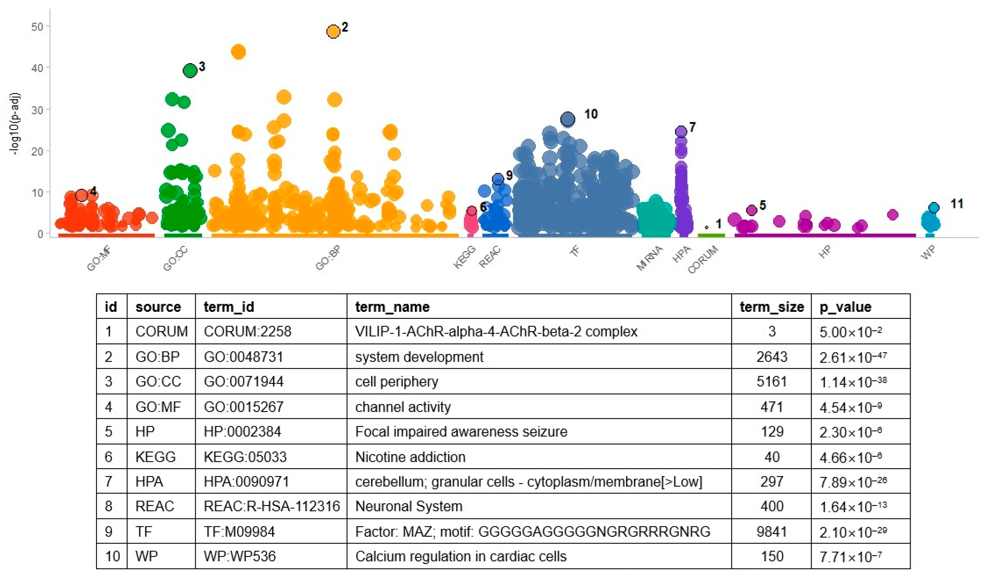 Biomedicines 13 02263 g003