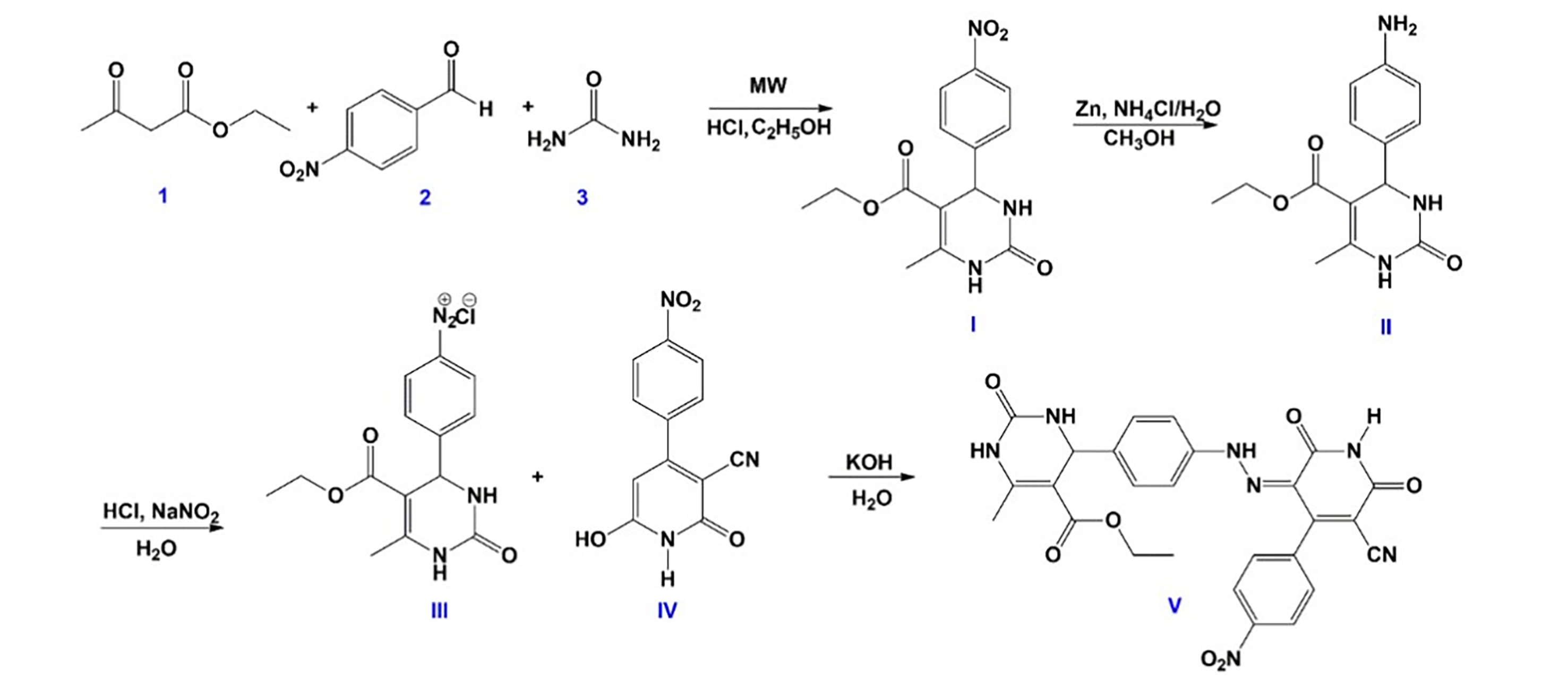 Biomedicines 13 02270 g002