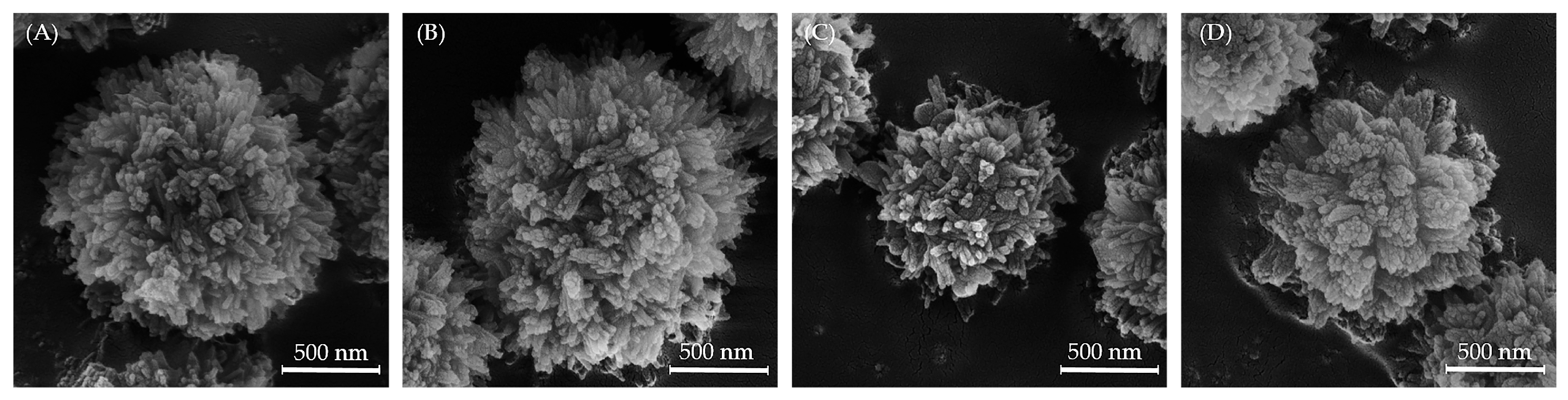 Biomedicines 13 02270 g004