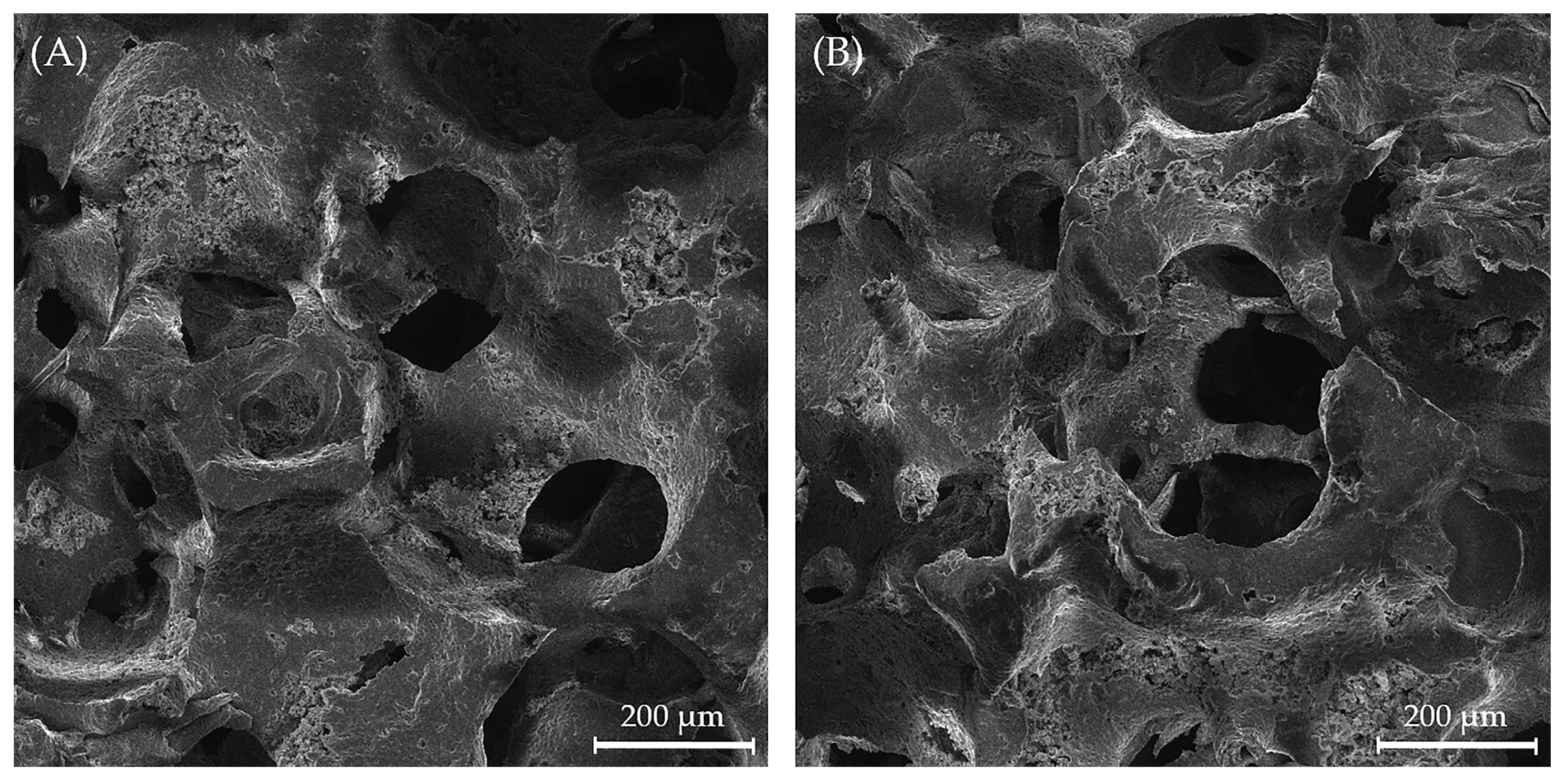 Biomedicines 13 02270 g007