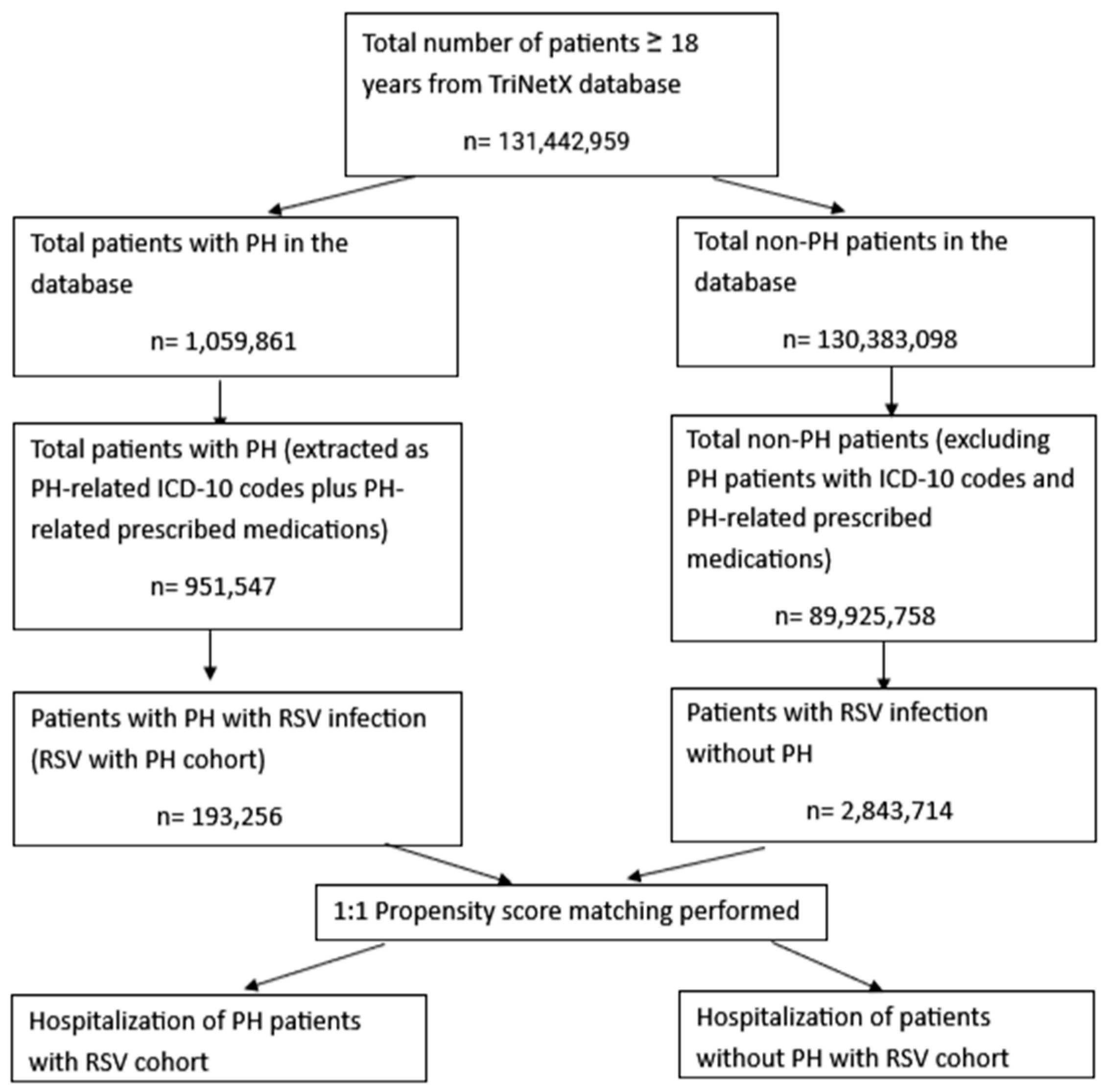 Biomedicines 13 02272 g001 Biomedicines 13 02272 g001