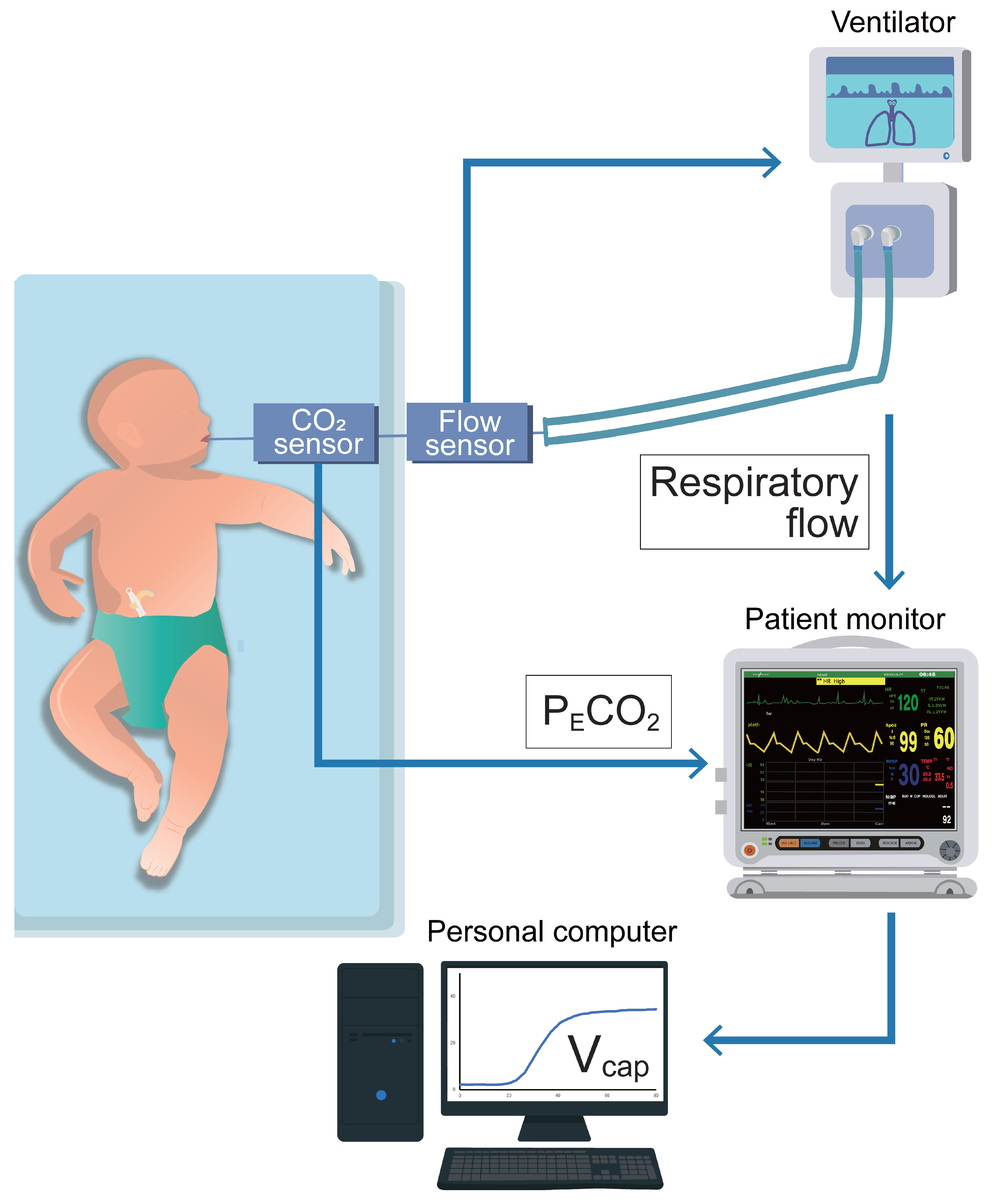 Biomedicines 13 02275 g001