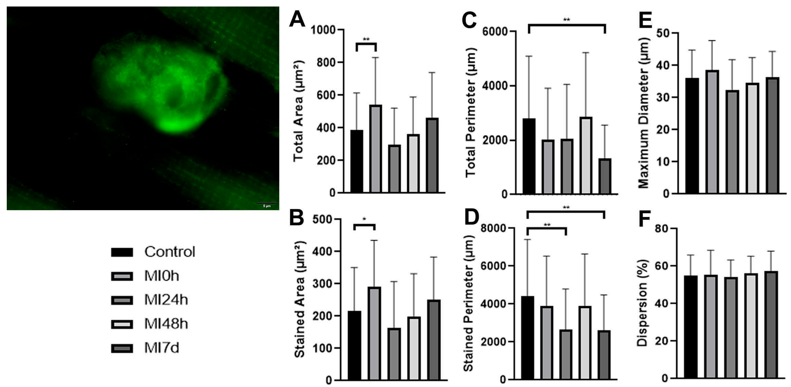 Biomedicines 13 02277 g002