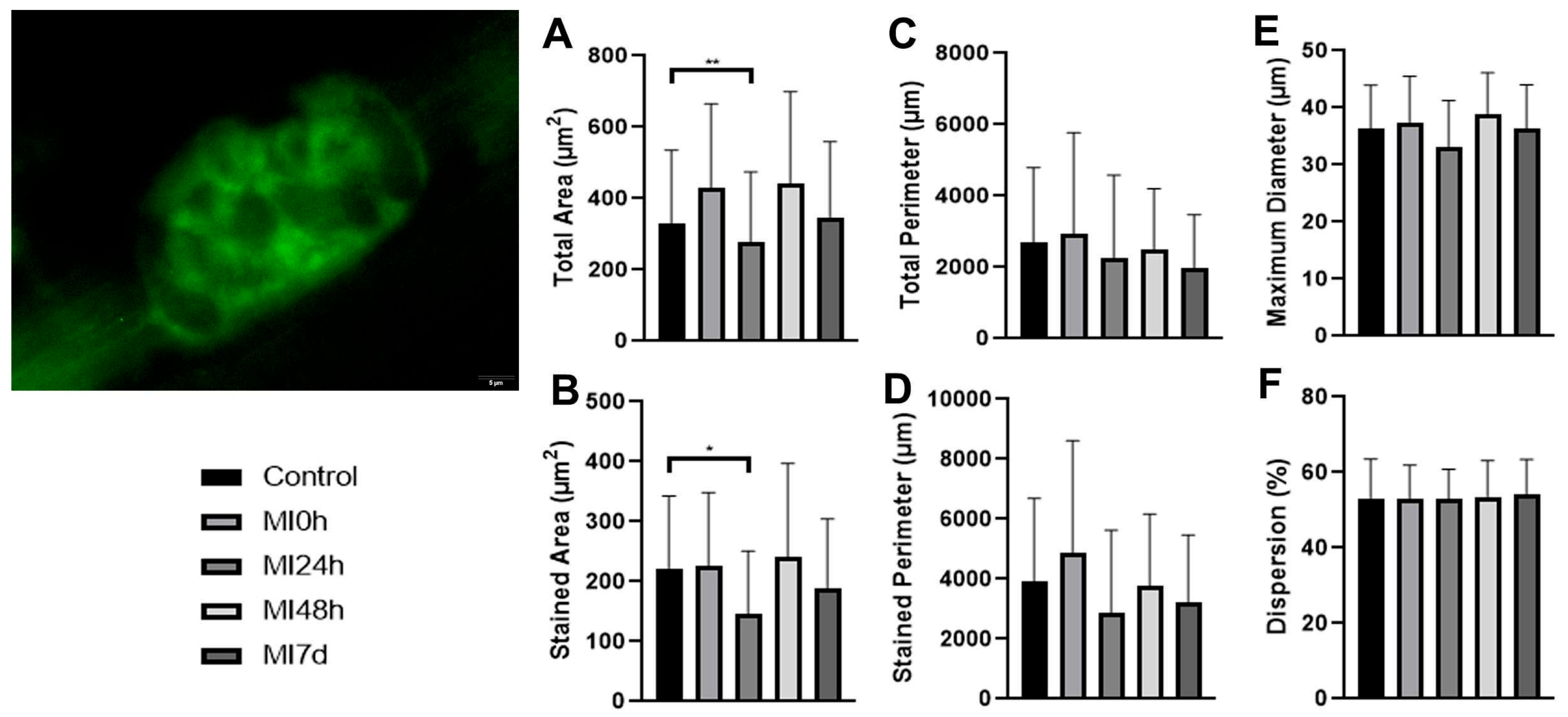 Biomedicines 13 02277 g003