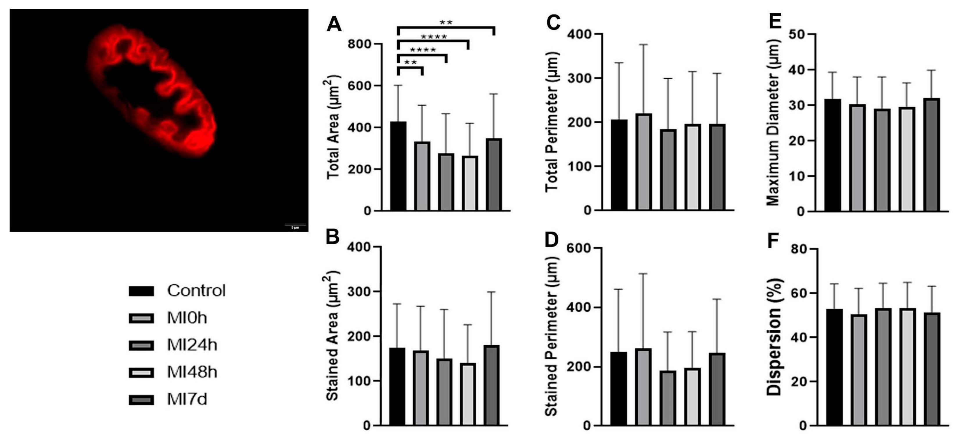 Biomedicines 13 02277 g004