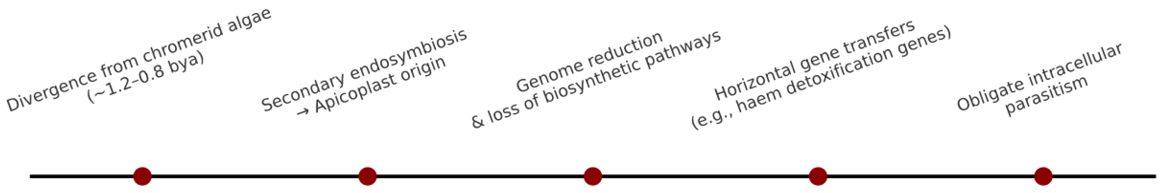 Biomedicines 13 02287 g001 Biomedicines 13 02287 g001