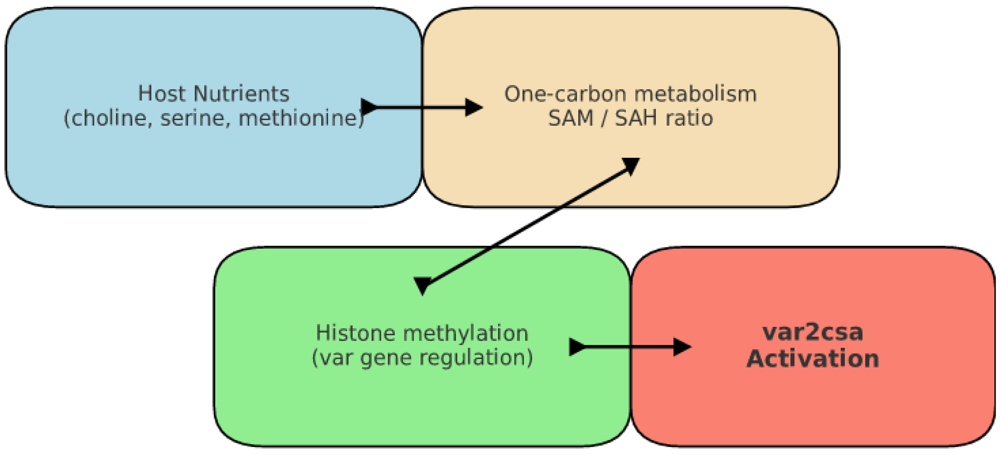 Biomedicines 13 02287 g002 Biomedicines 13 02287 g002