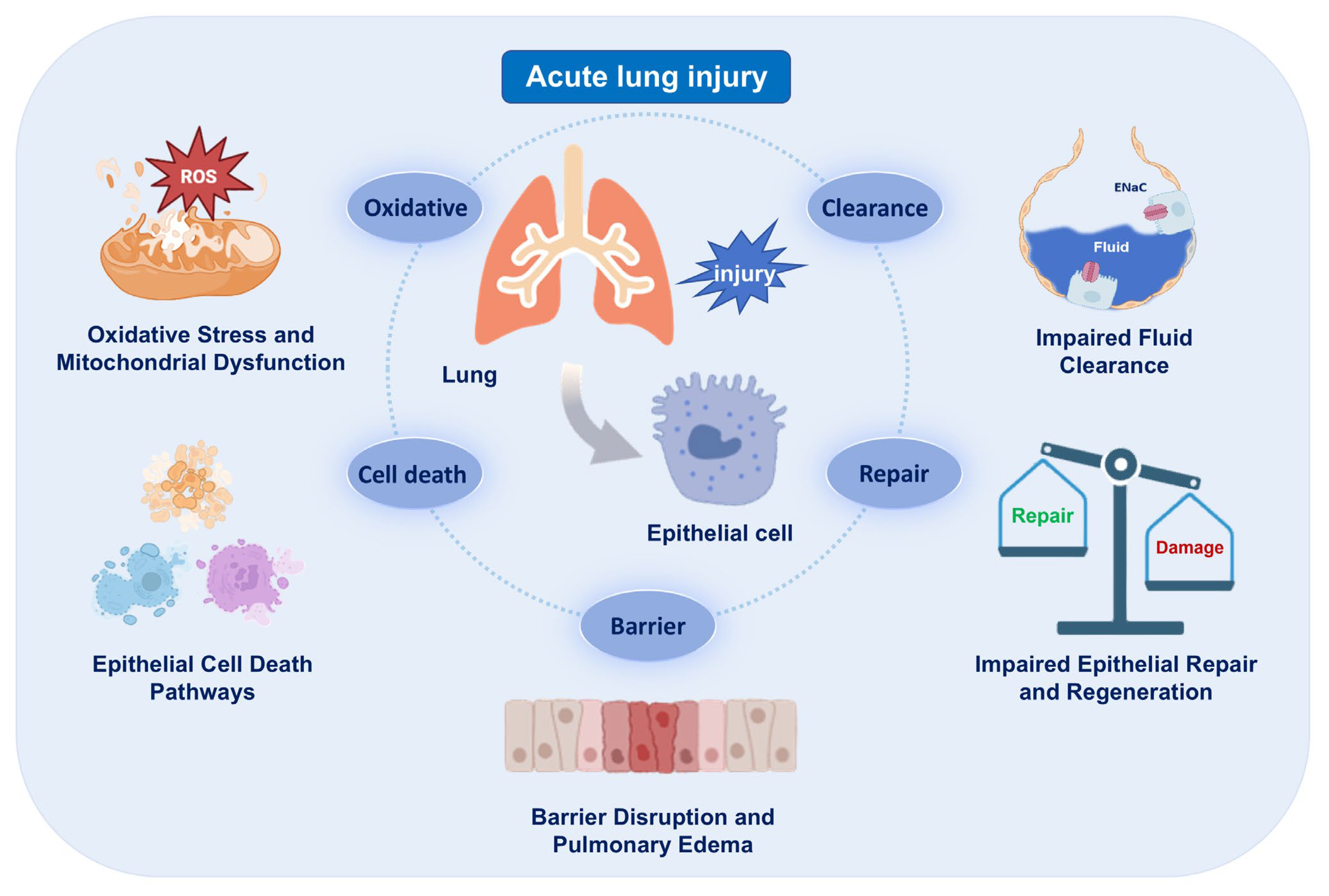 Biomedicines 13 02299 g001 Biomedicines 13 02299 g001
