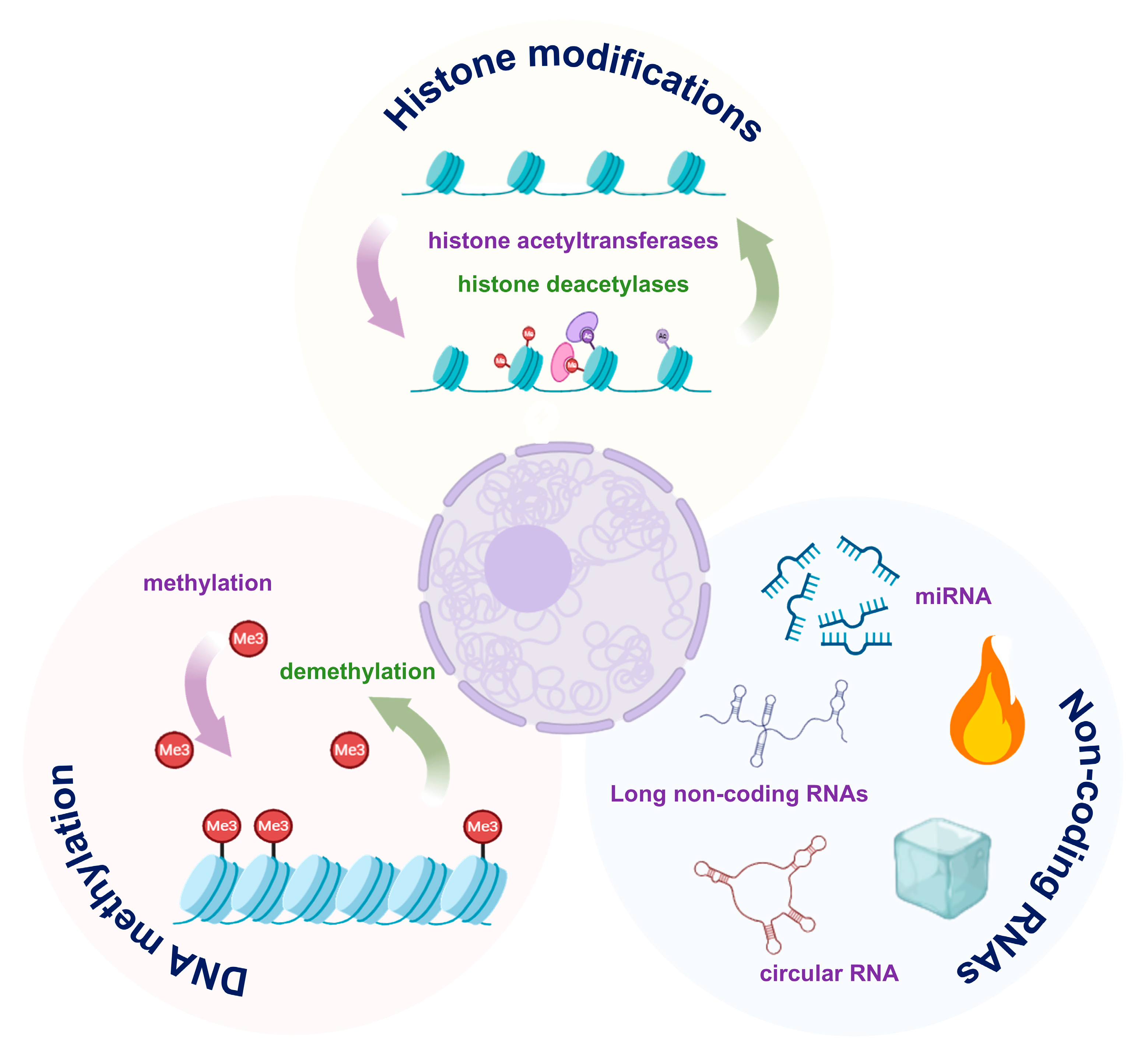 Biomedicines 13 02299 g002 Biomedicines 13 02299 g002