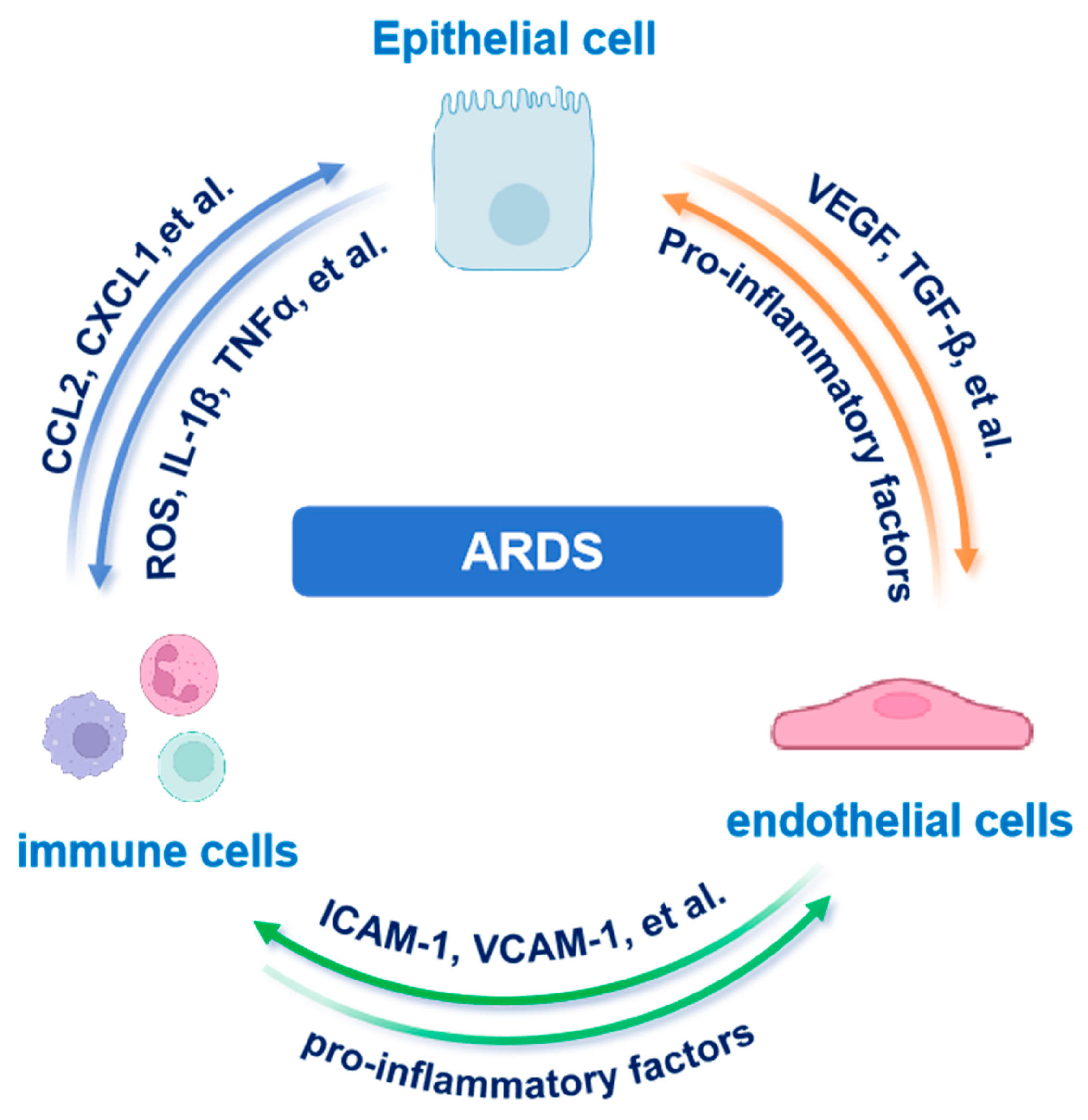 Biomedicines 13 02299 g003 Biomedicines 13 02299 g003
