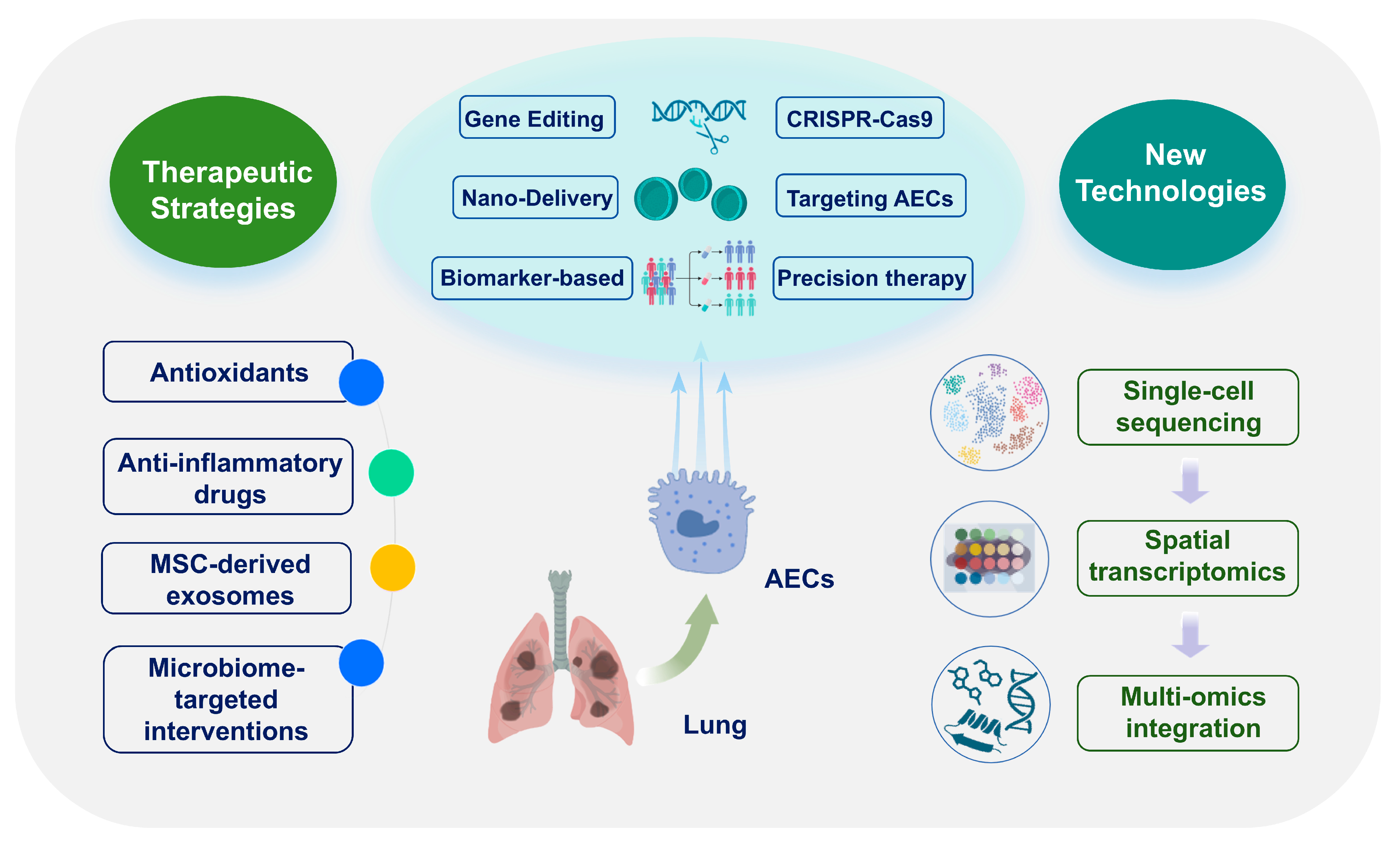 Biomedicines 13 02299 g004 Biomedicines 13 02299 g004