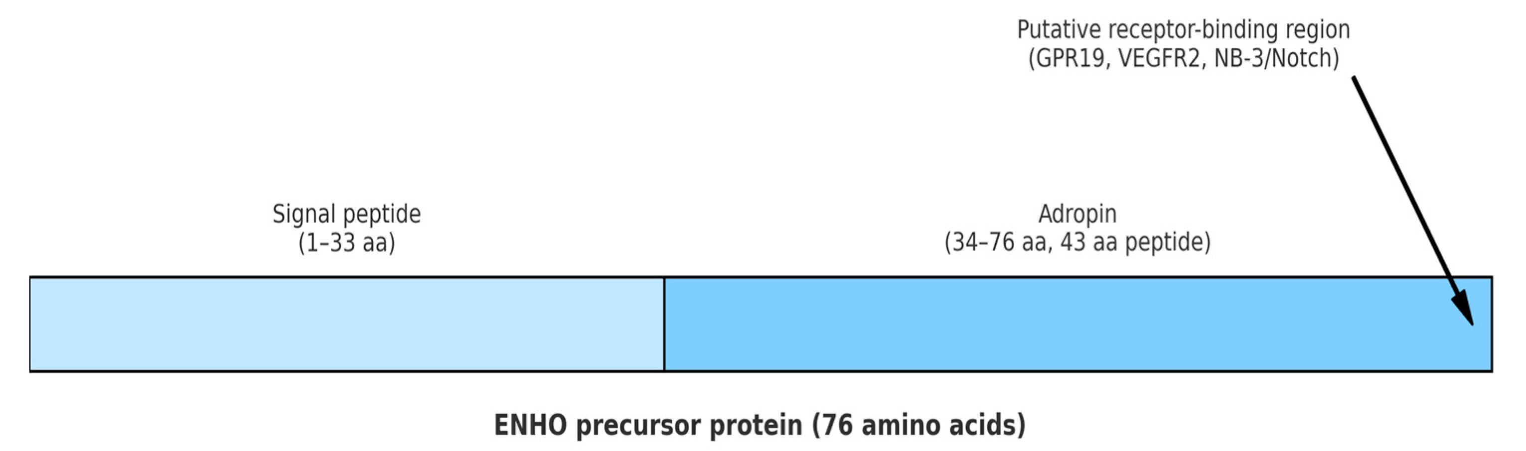 Biomedicines 13 02300 g001