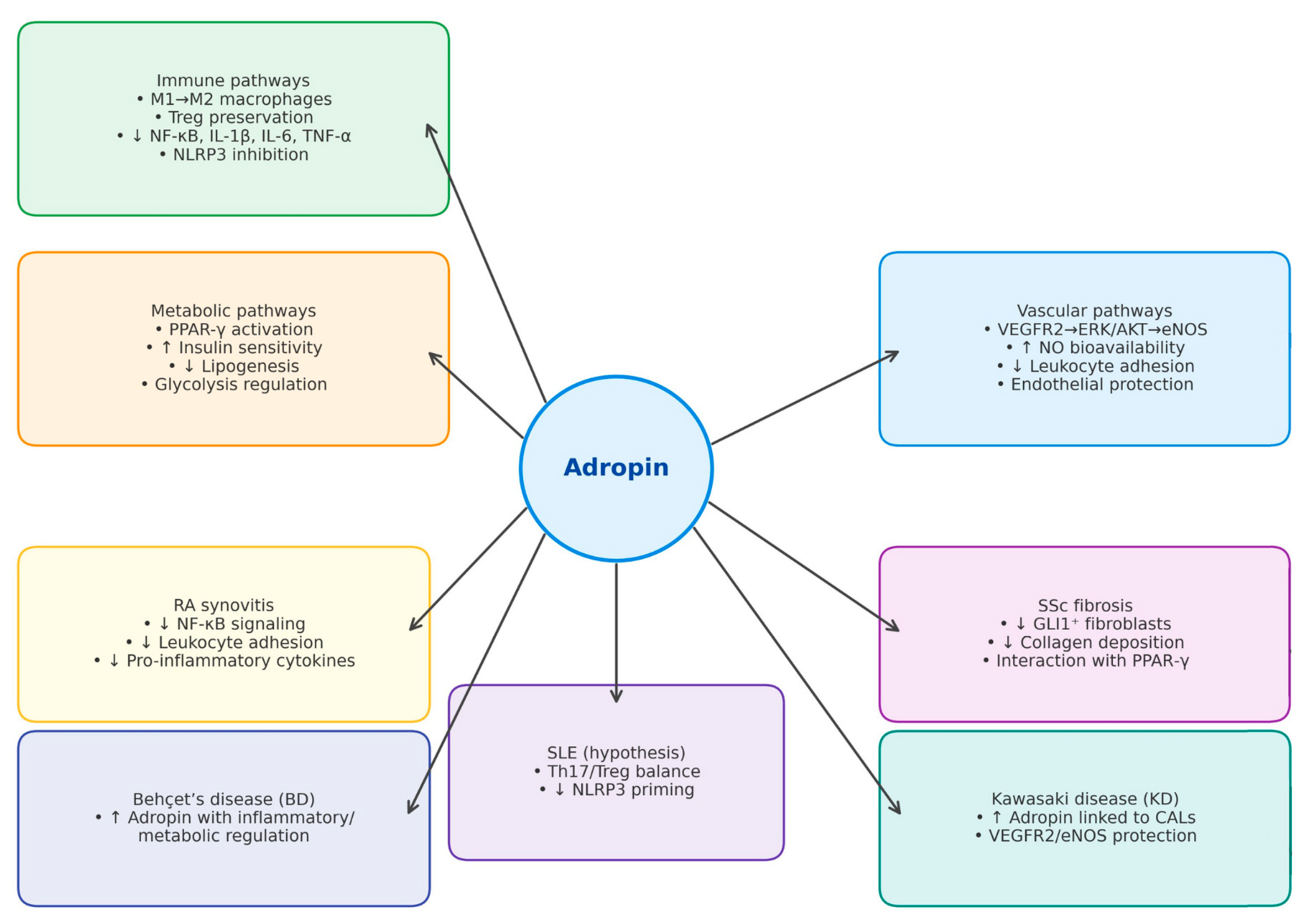 Biomedicines 13 02300 g003